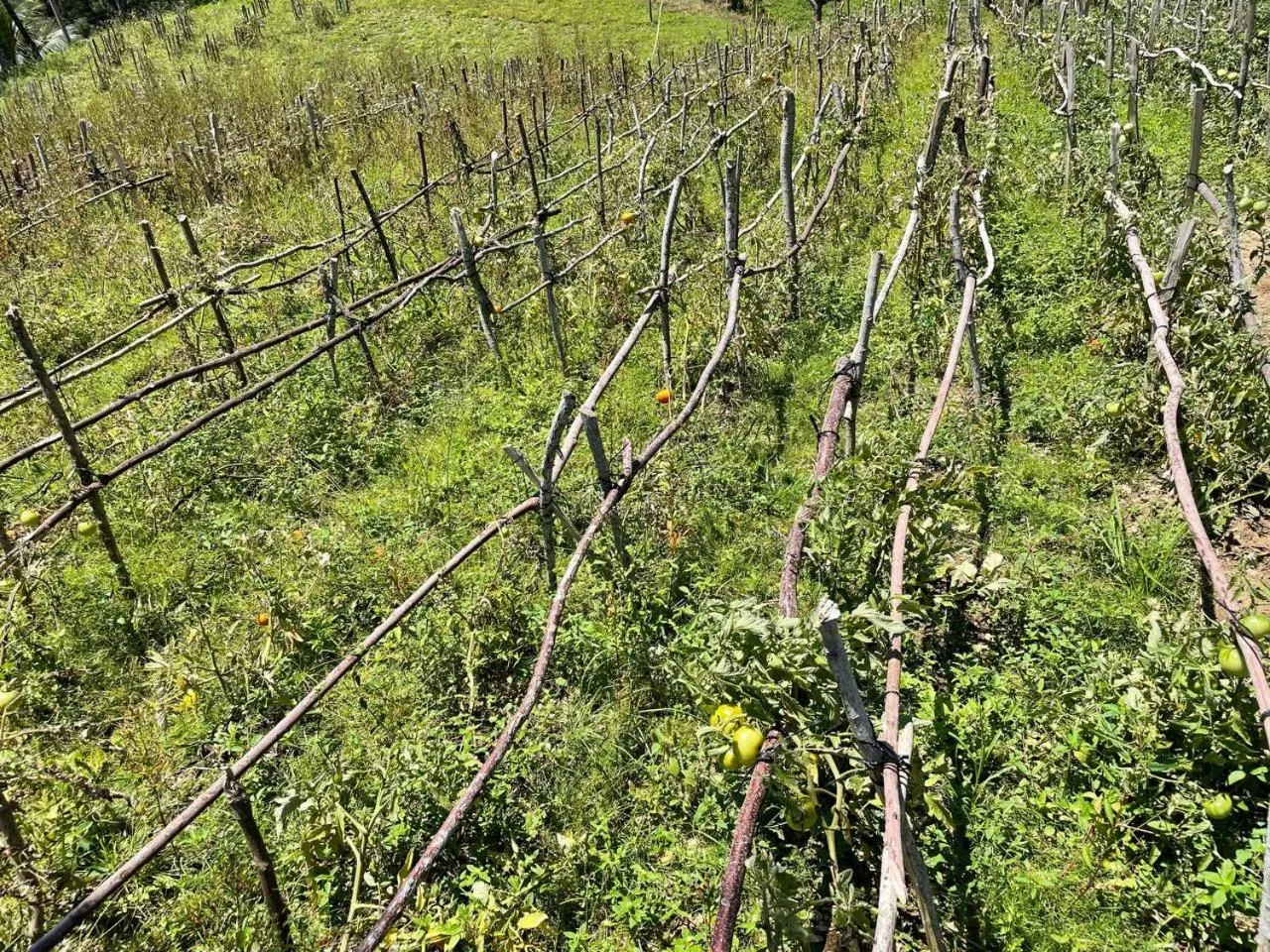 Property building in Hotel and Dive Center Roatan Yacht Club