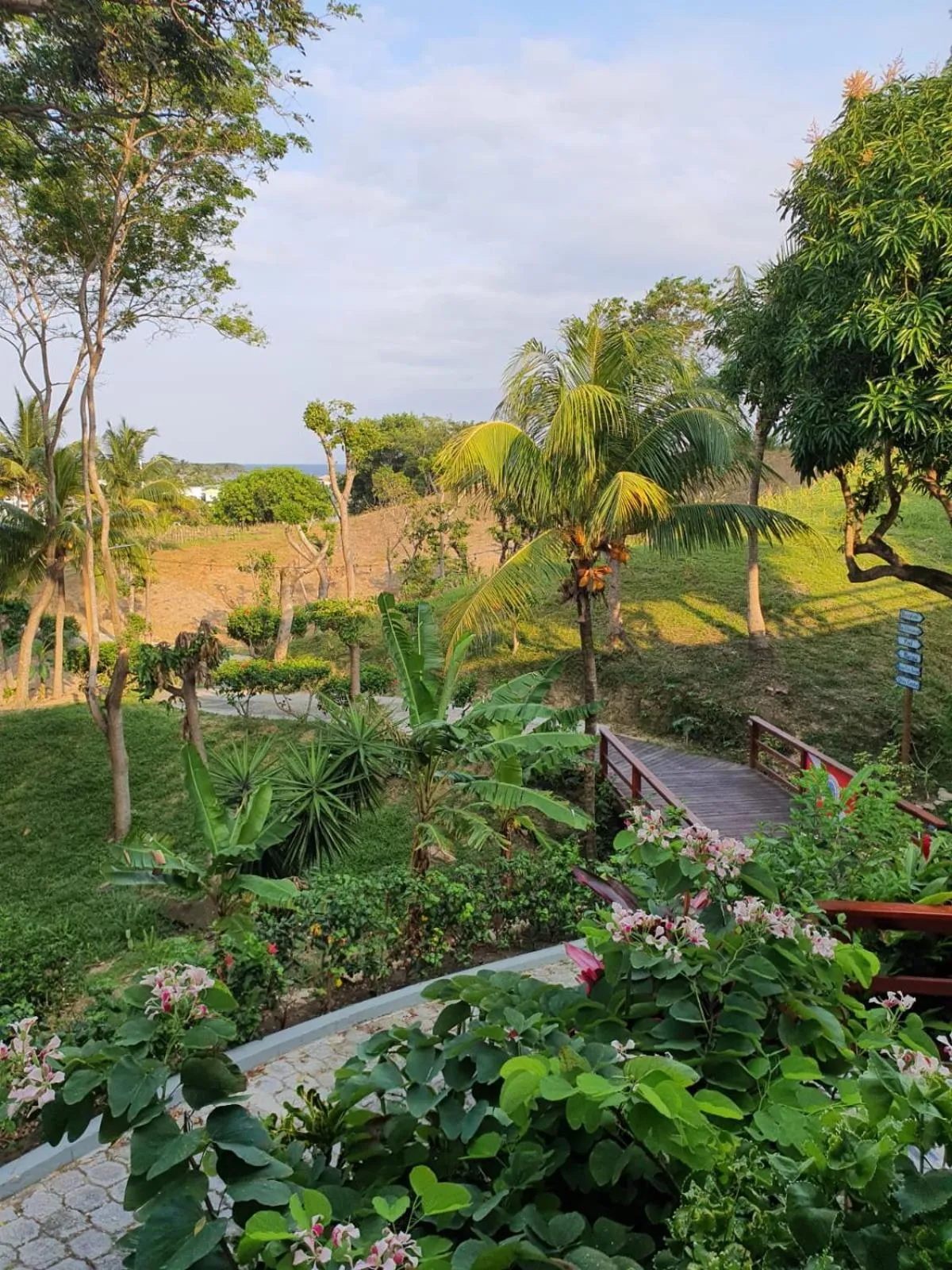 Garden in Hotel and Dive Center Roatan Yacht Club