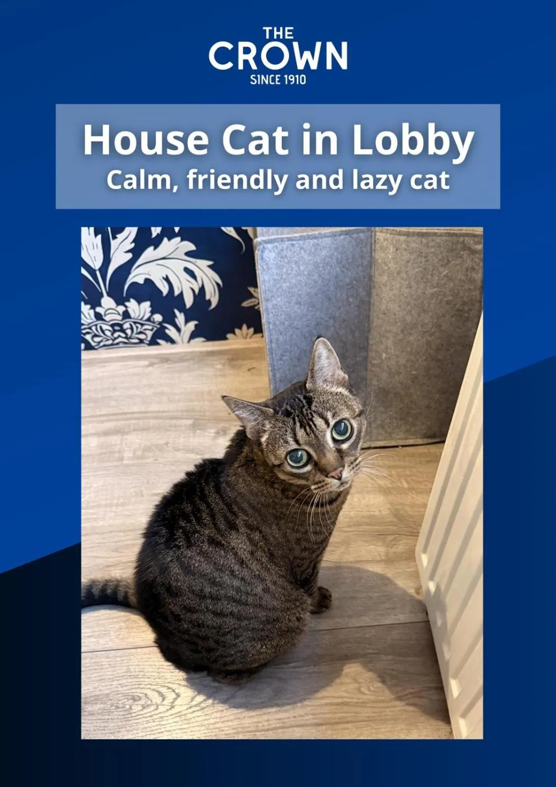 Property building in The Crown Hotel