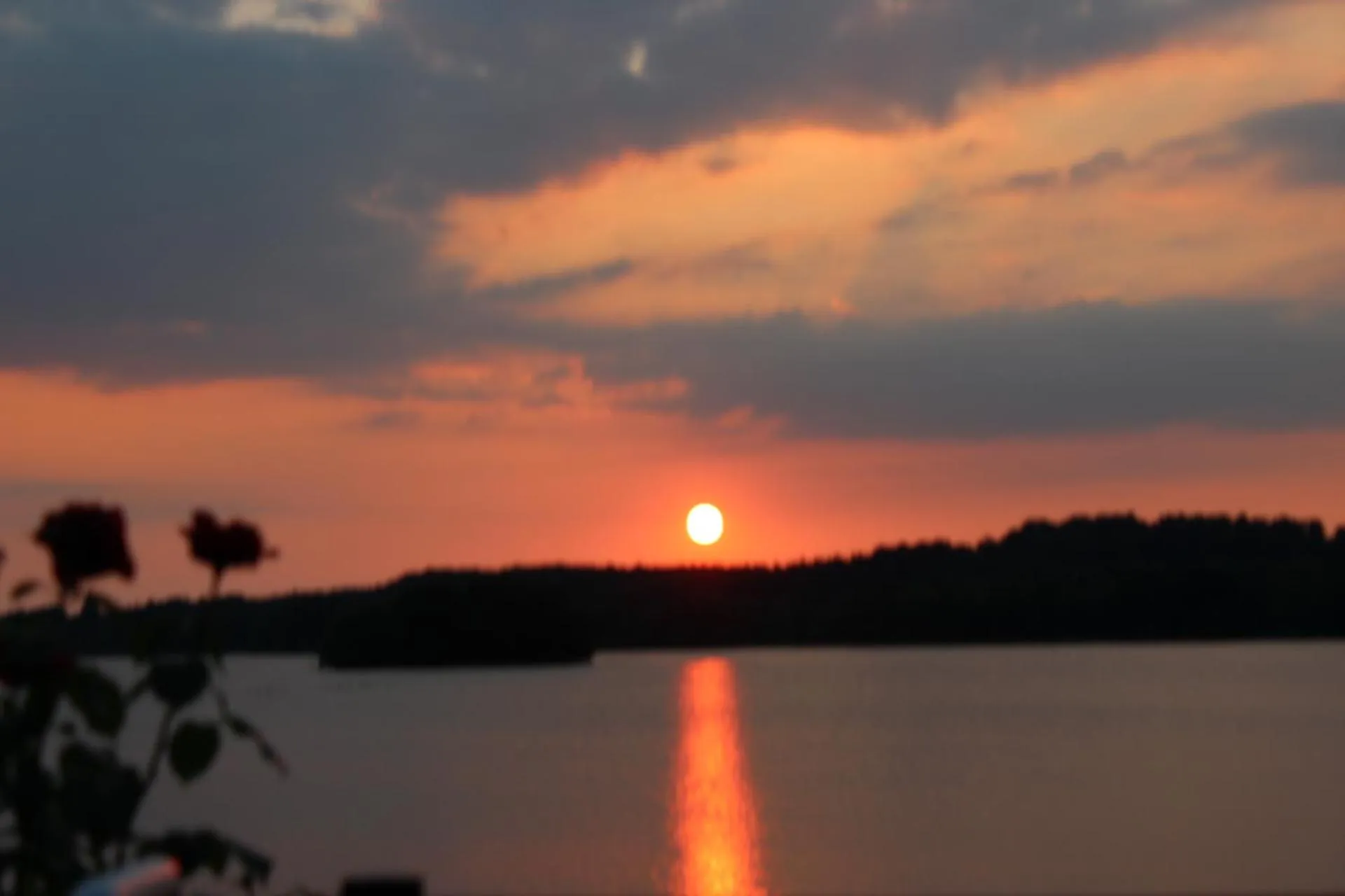 Lake view in Hotel Seerose Bad Malente