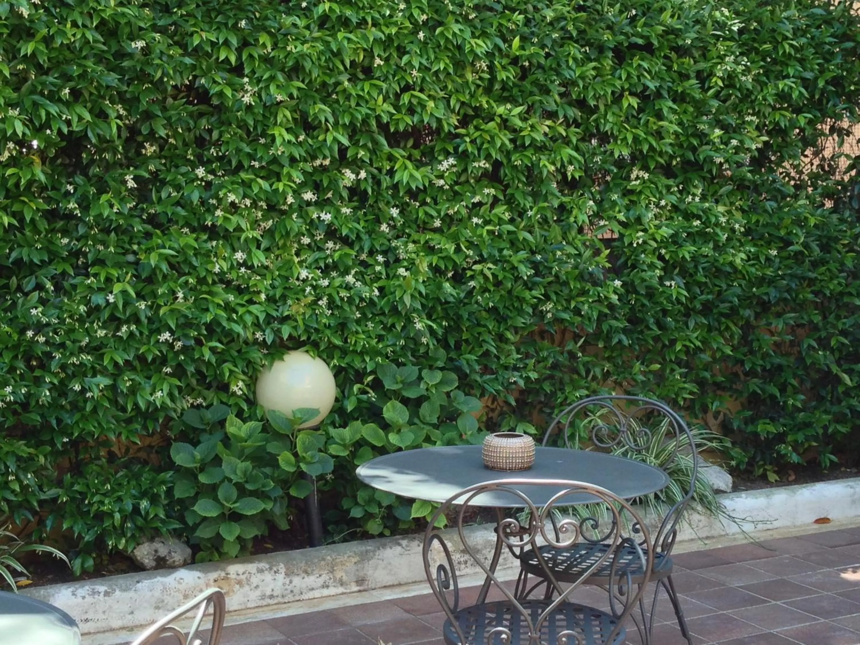 Patio in Hotel Select Garden