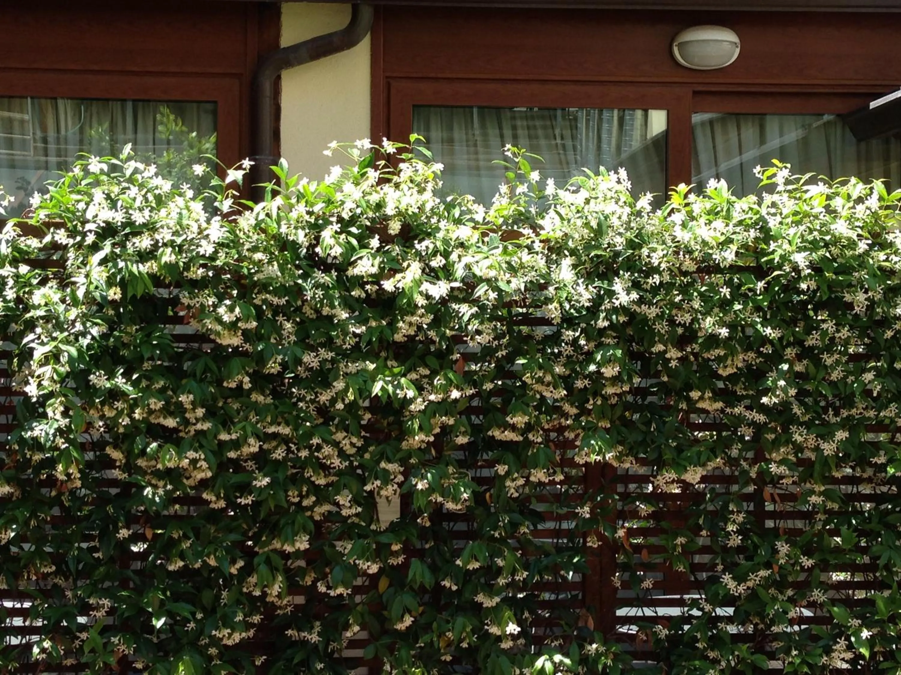 Day in Hotel Select Garden