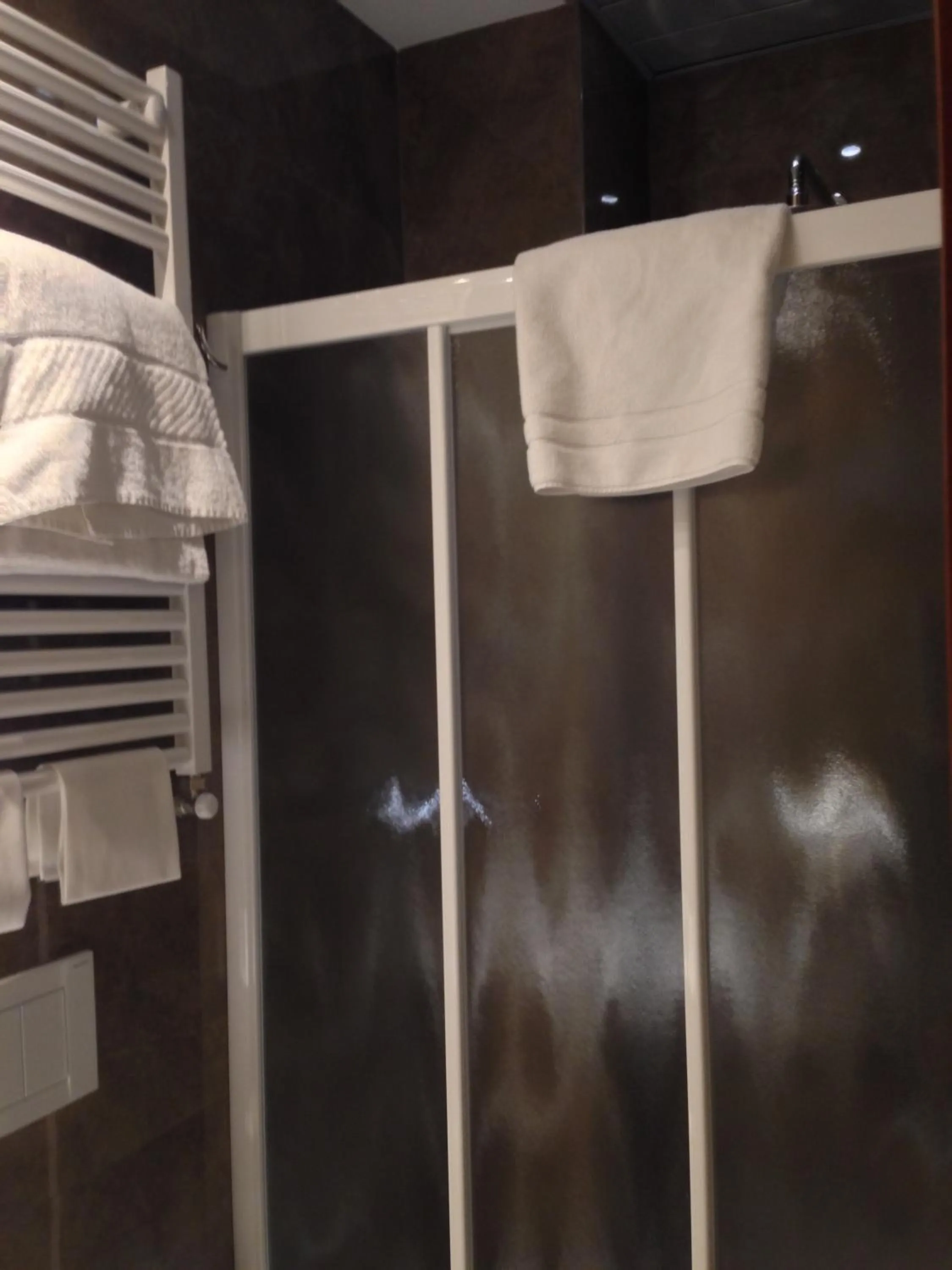 Shower in Hotel Select Garden