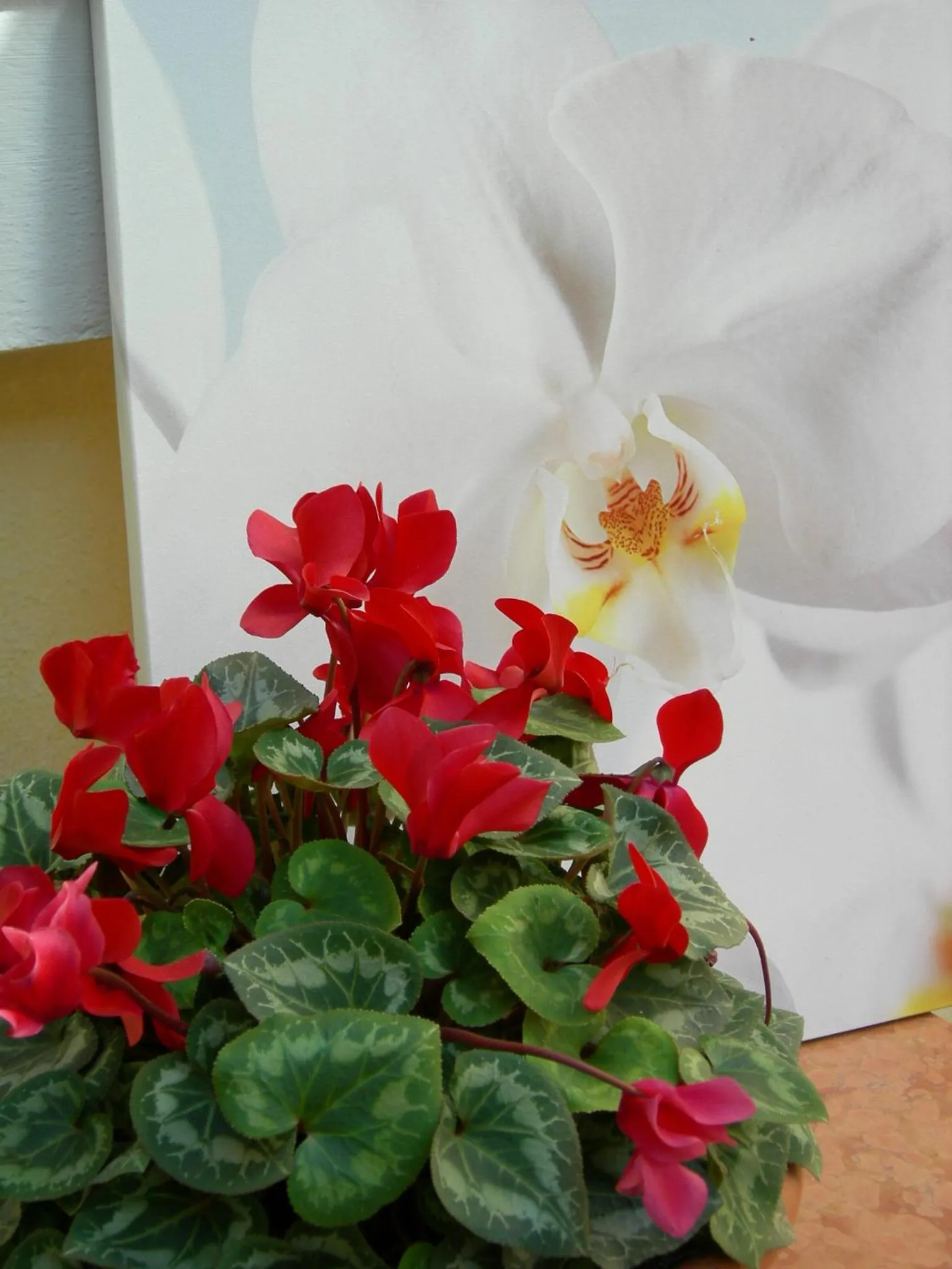 Decorative detail in Hotel Select Garden