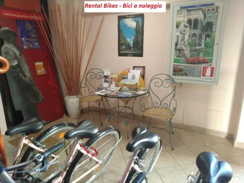 Cycling in B&B Ai Cipressi