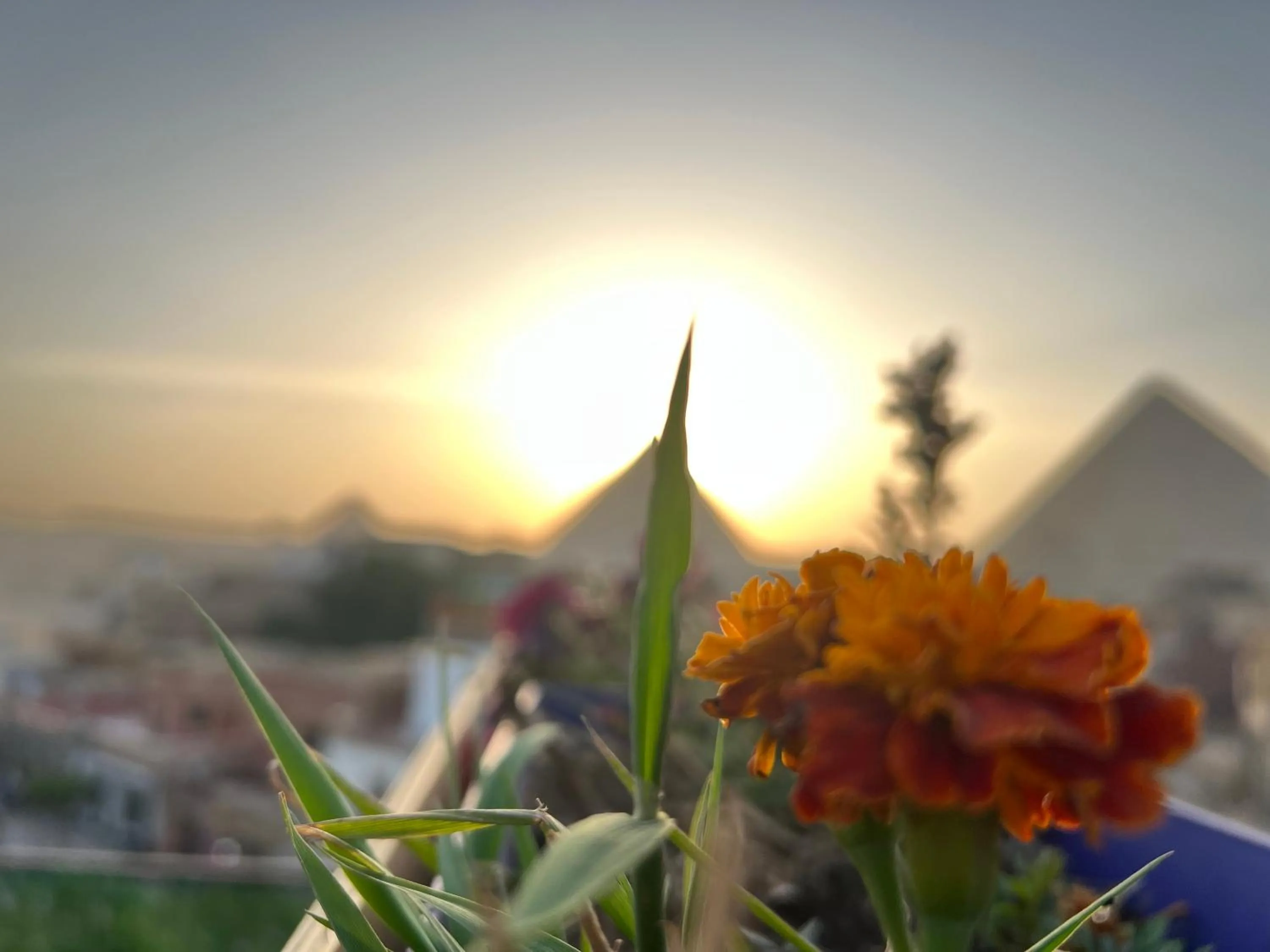 Pyramids top success result