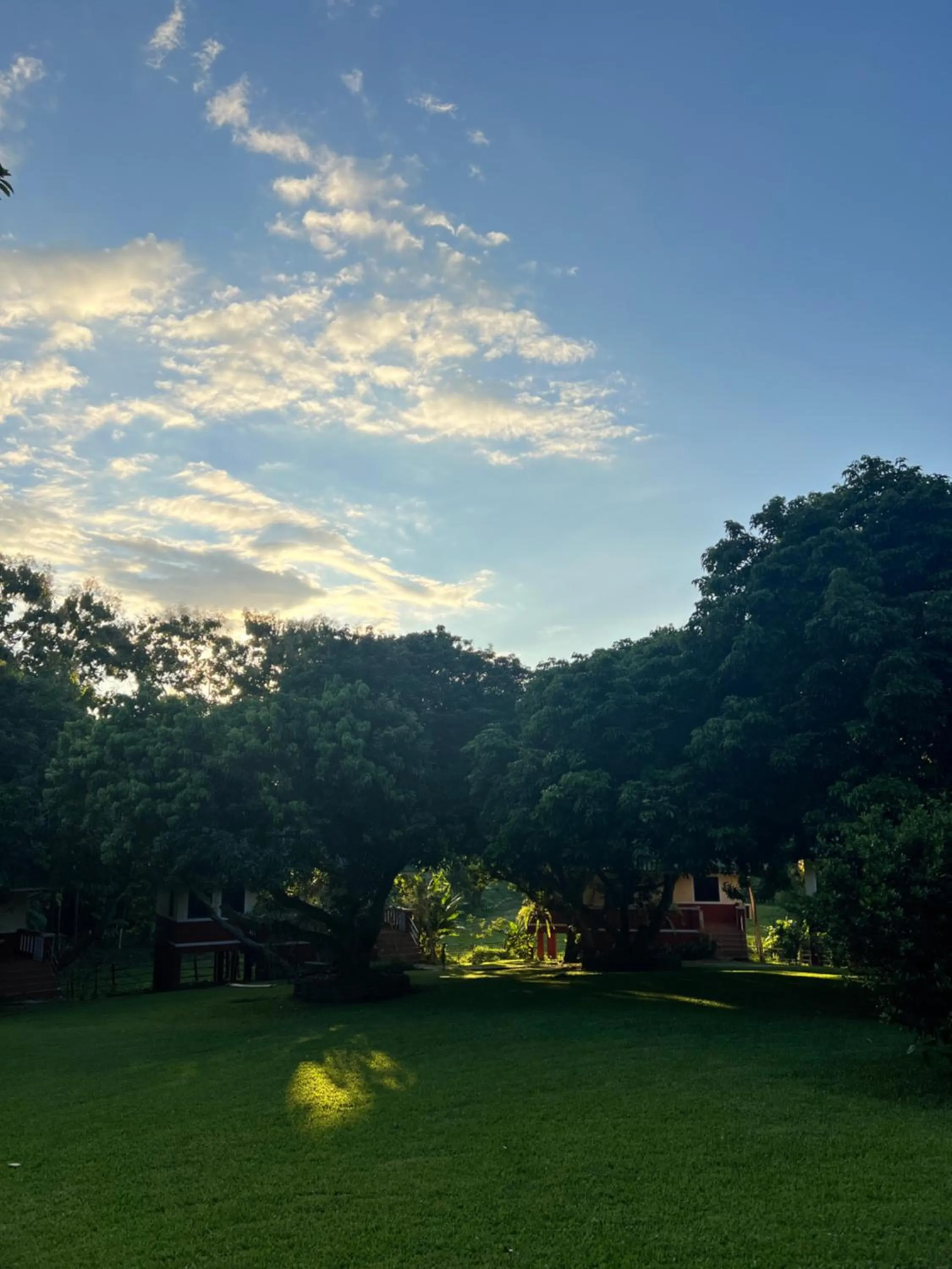 Garden view in ViangPhing Resort