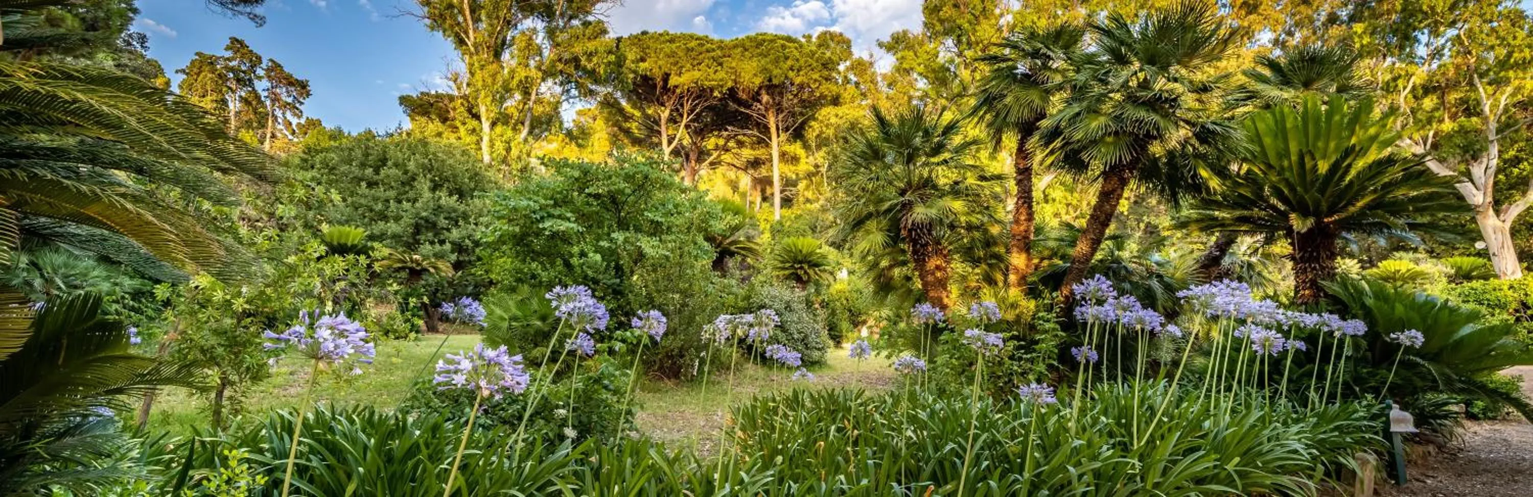 Garden in Palazzo Belmonte
