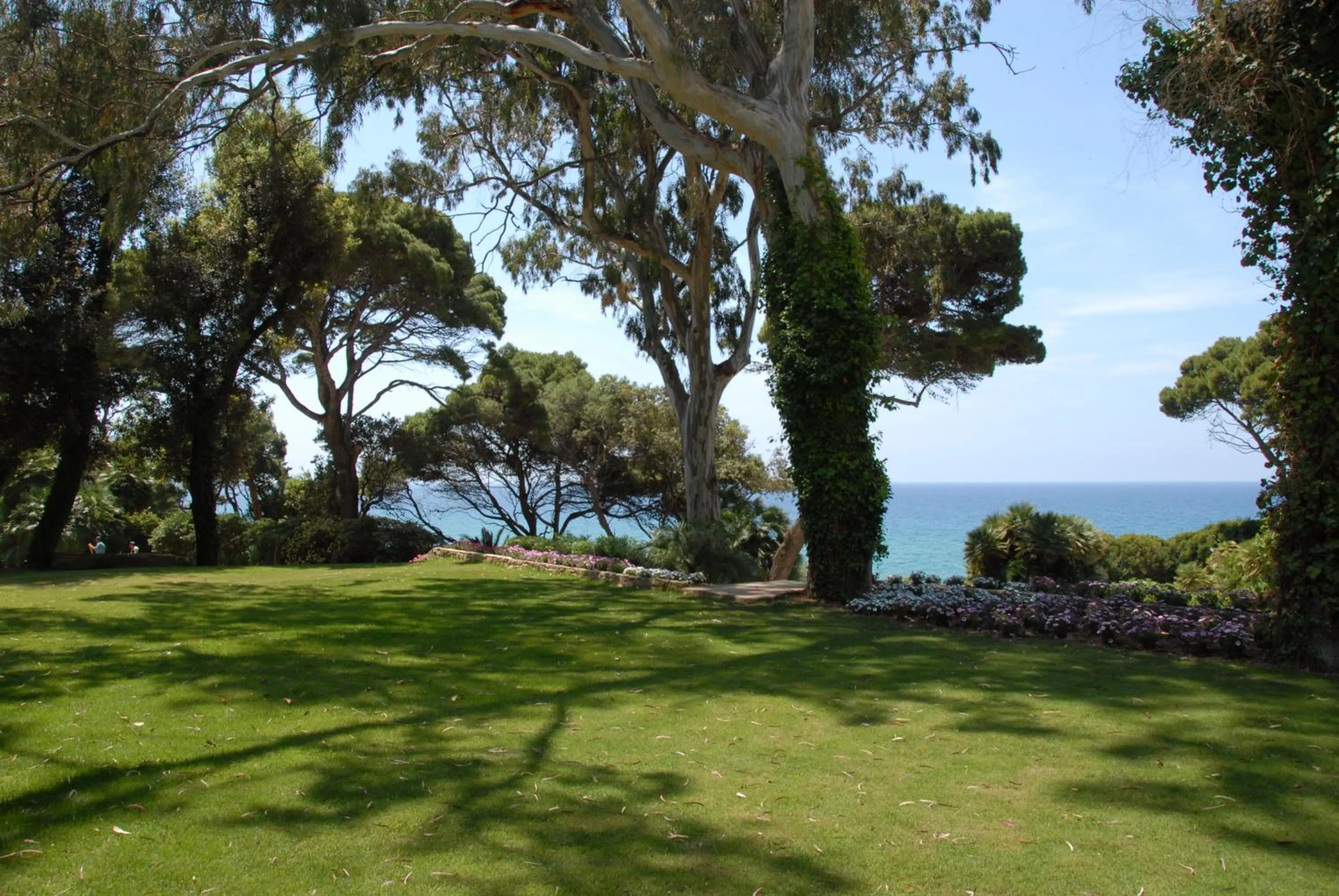 Natural landscape in Palazzo Belmonte