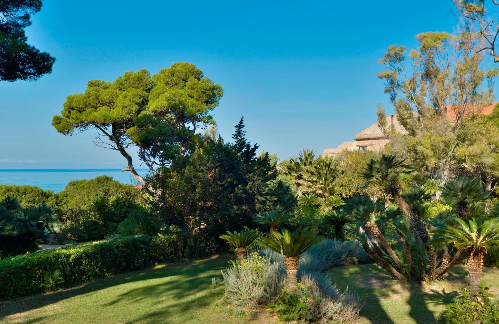 Autumn in Palazzo Belmonte