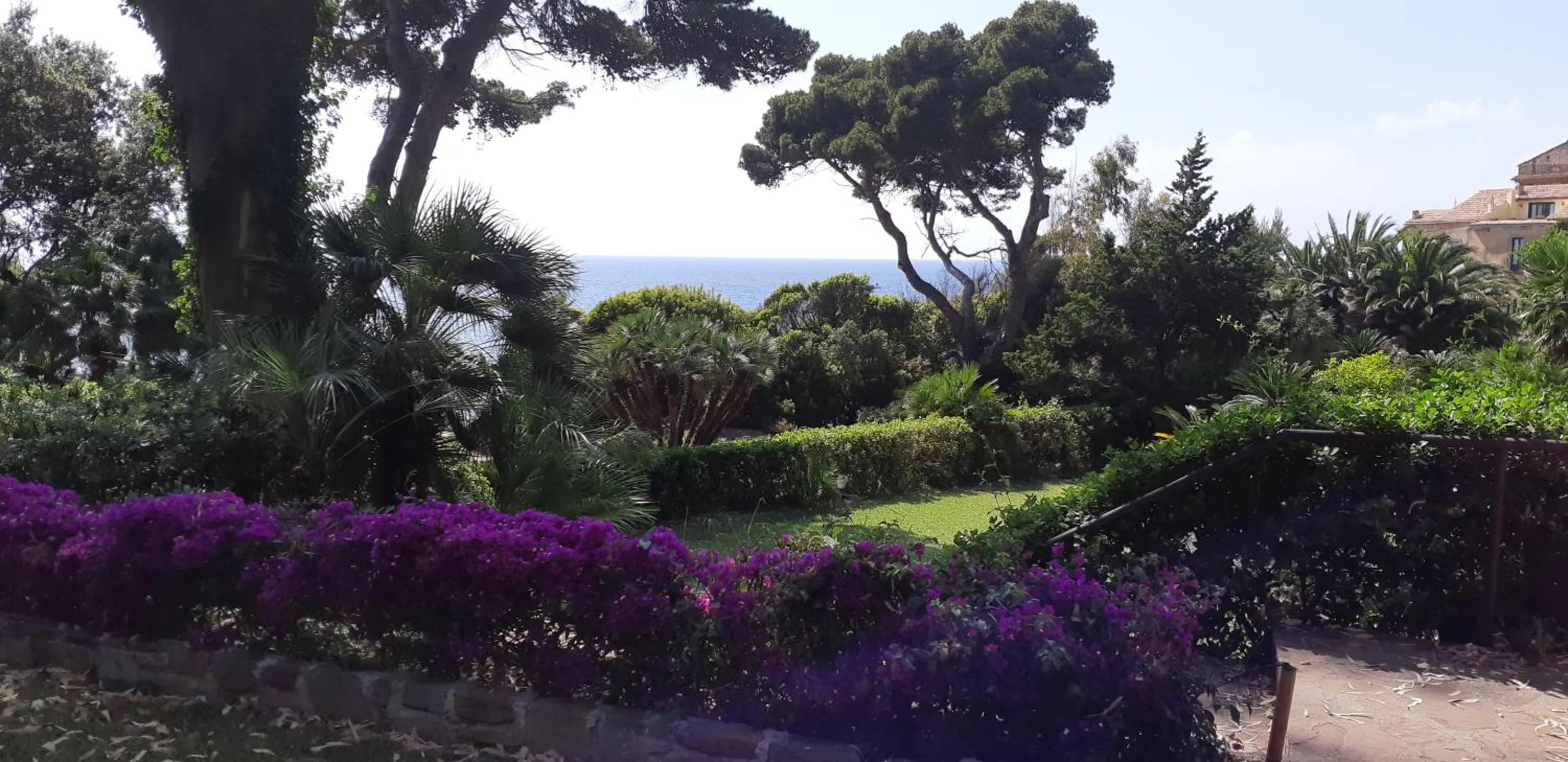 Garden view in Palazzo Belmonte