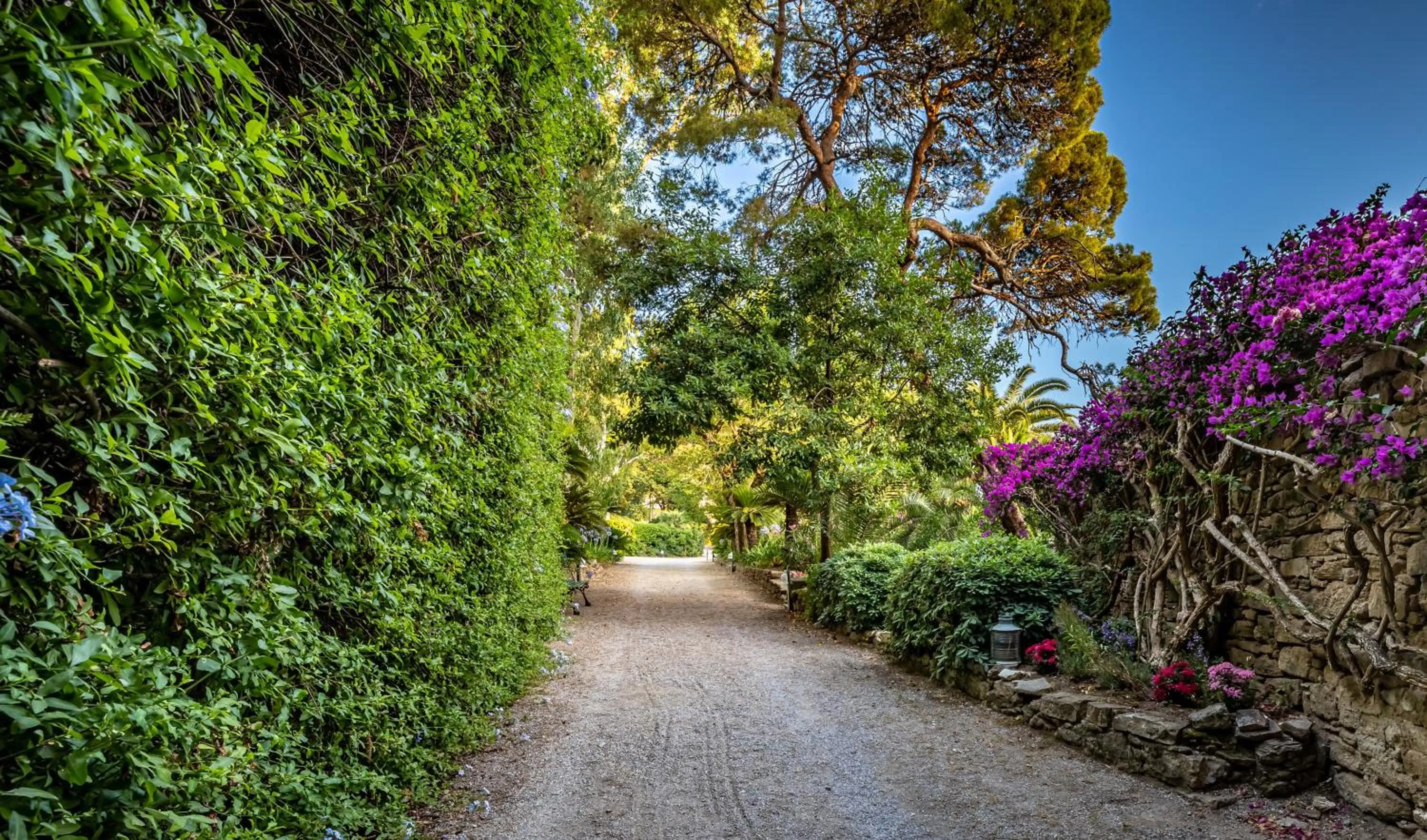 Garden view in Palazzo Belmonte
