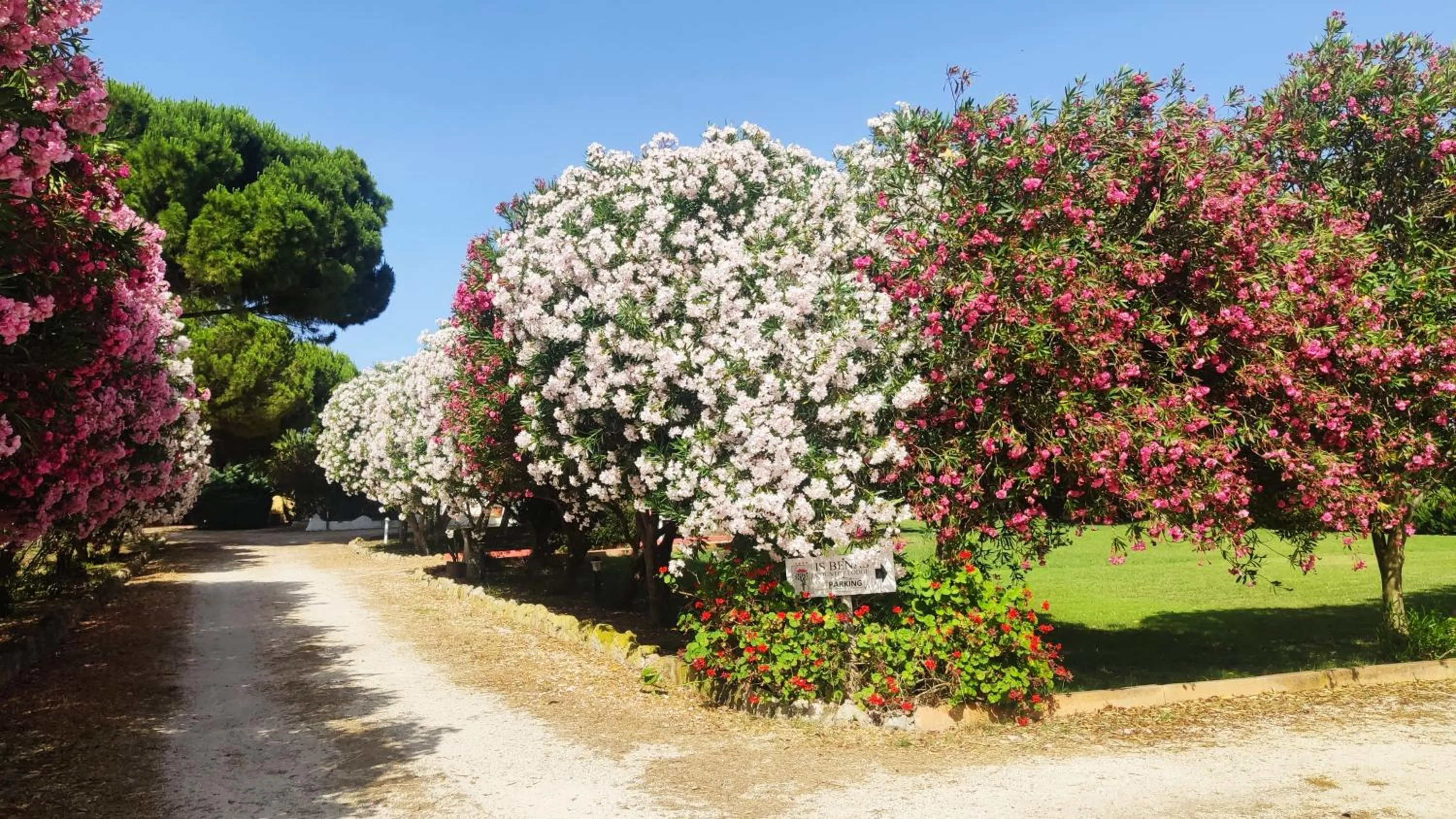 Facade/entrance in Is Benas Country Lodge
