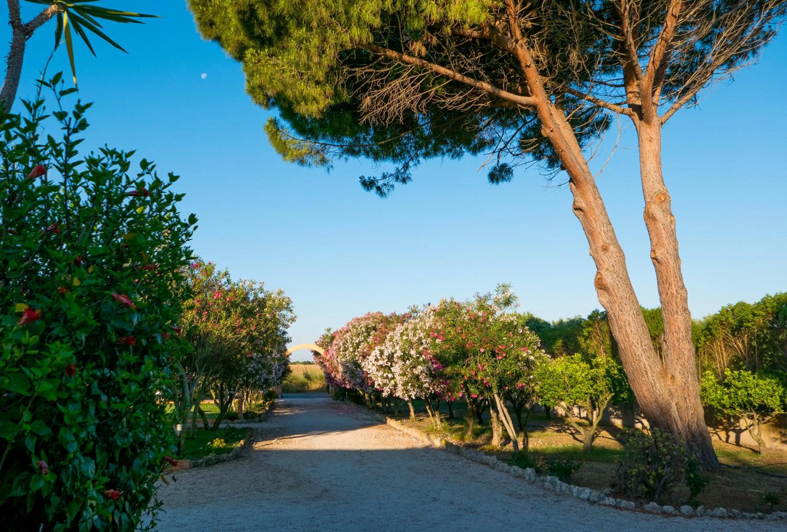 Spring in Is Benas Country Lodge