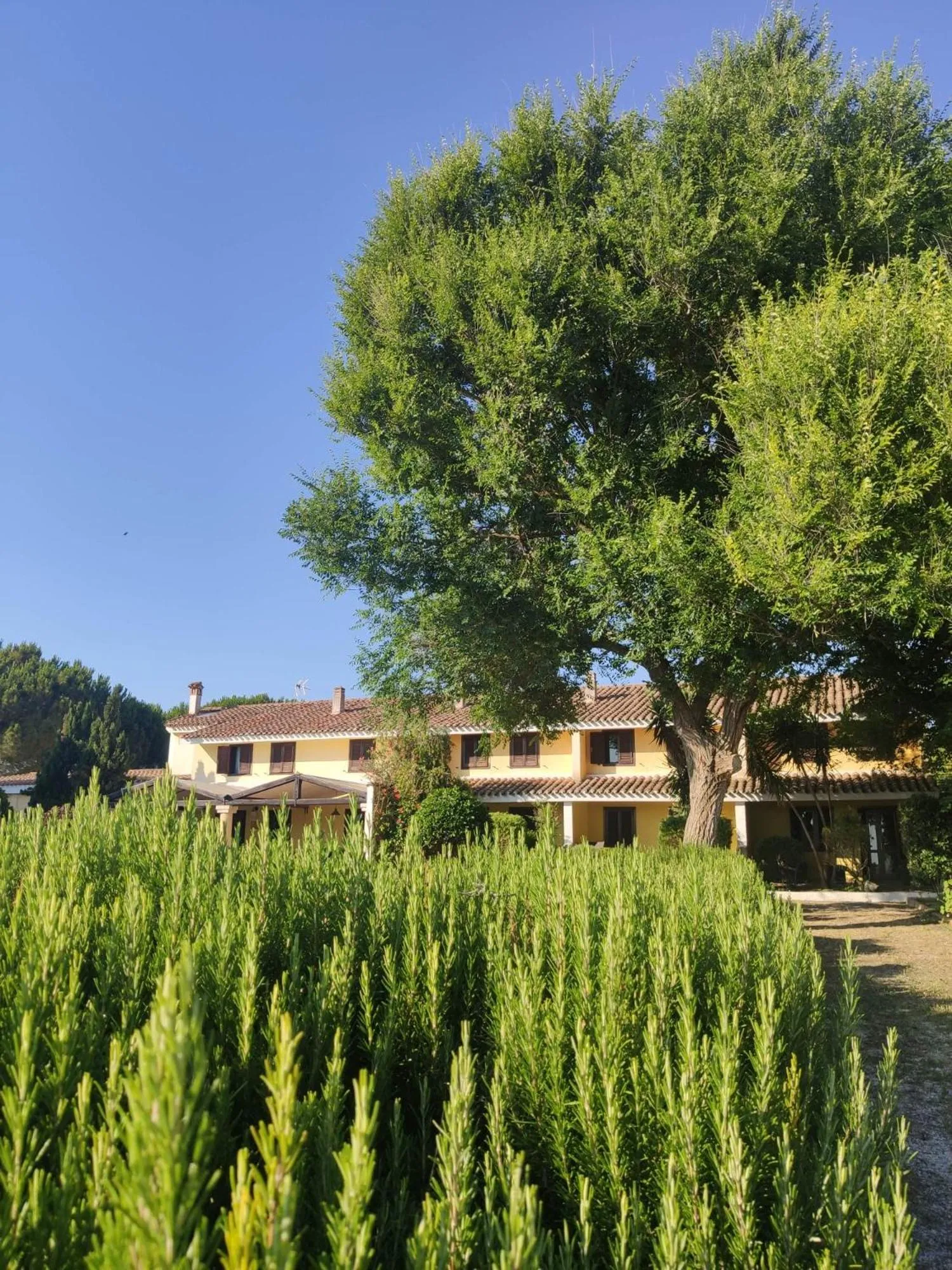 Property building in Is Benas Country Lodge