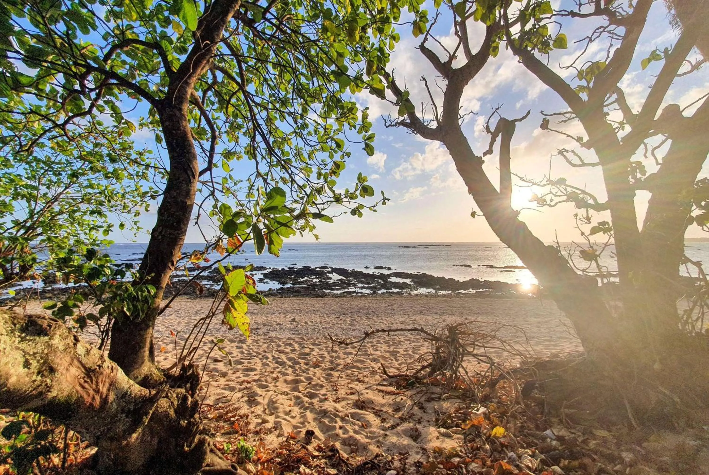 Other in Ramada Suites By Wyndham Seafront Coral Coast