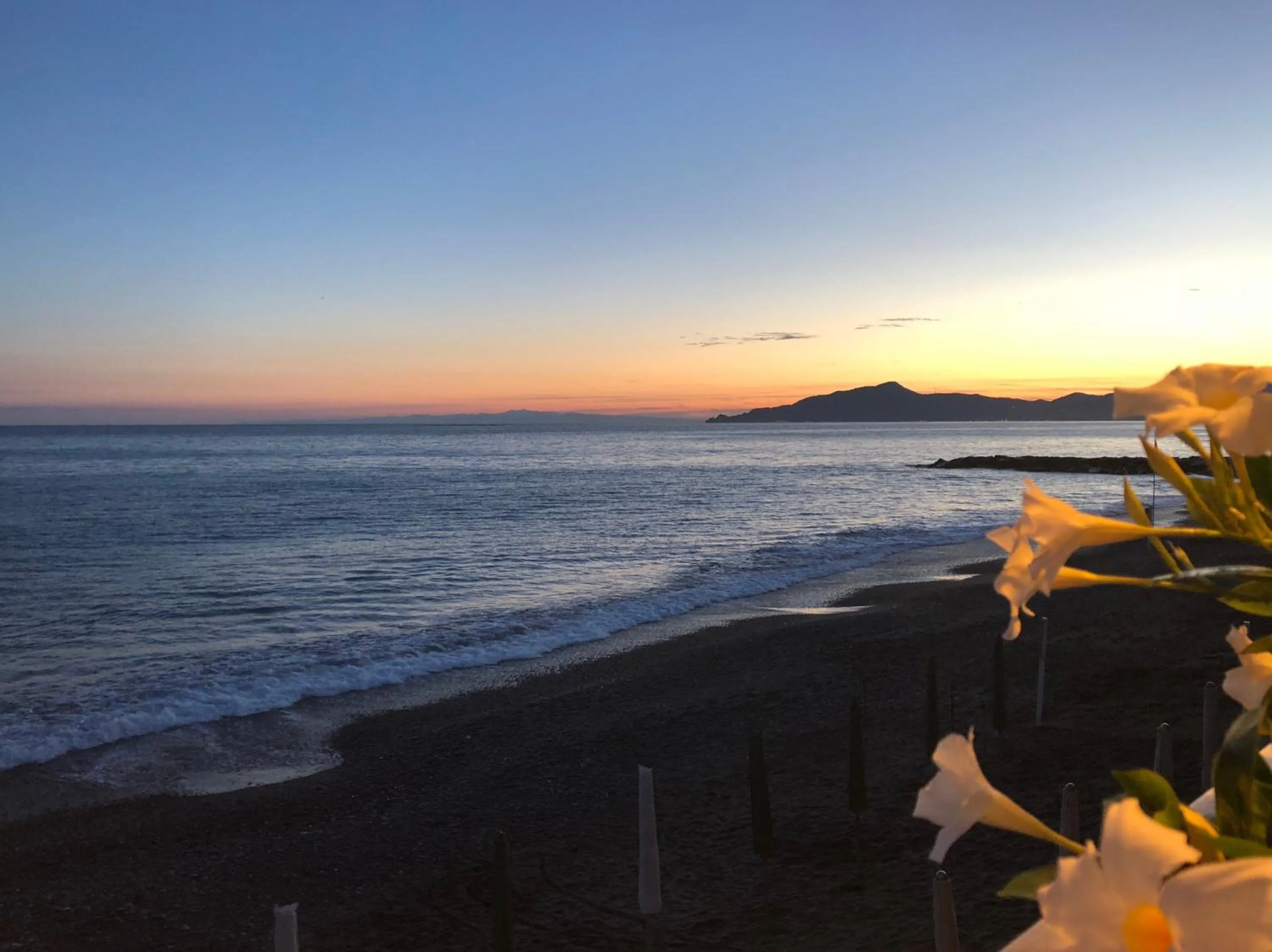 Natural landscape in Hotel Doria