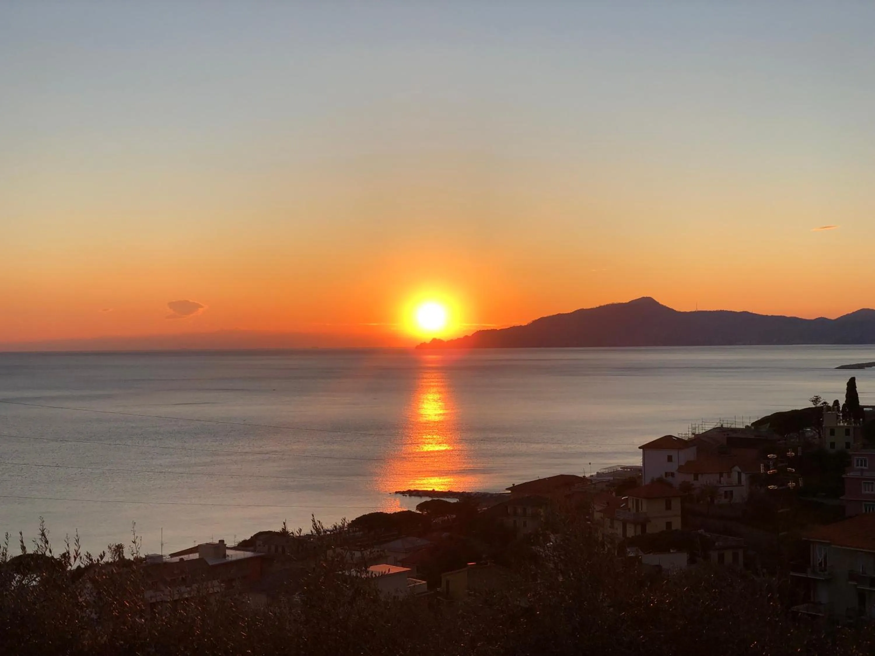 Natural landscape in Hotel Doria