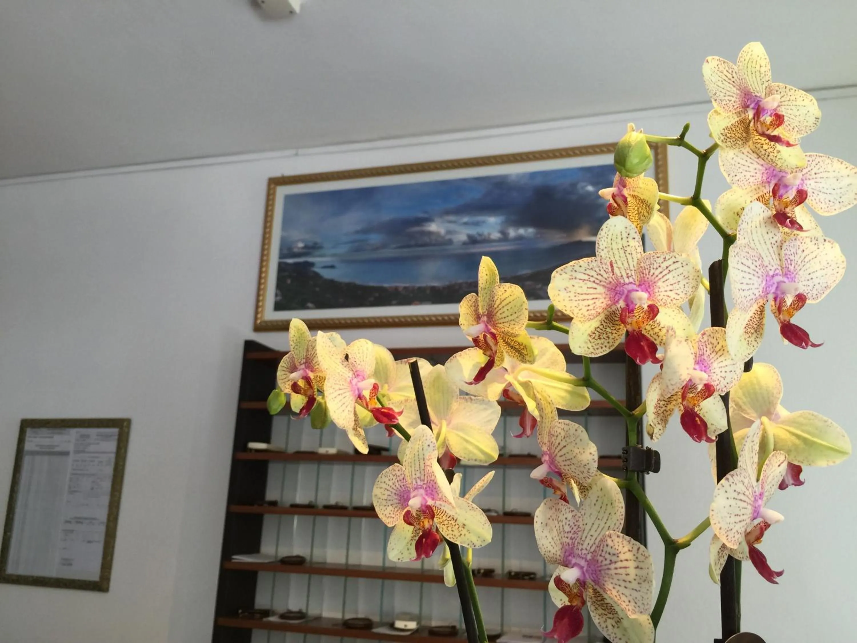 Decorative detail in Hotel Doria