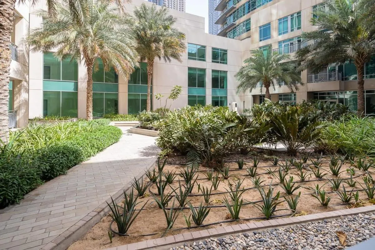 Frank Porter - The Lofts