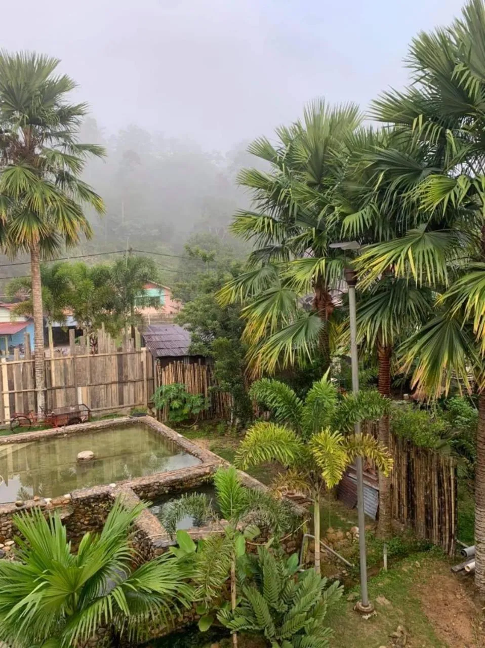 Swimming pool in RIVERSIDE PALM INN SG LEMBING