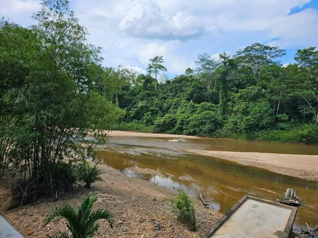 RIVERSIDE PALM INN SG LEMBING