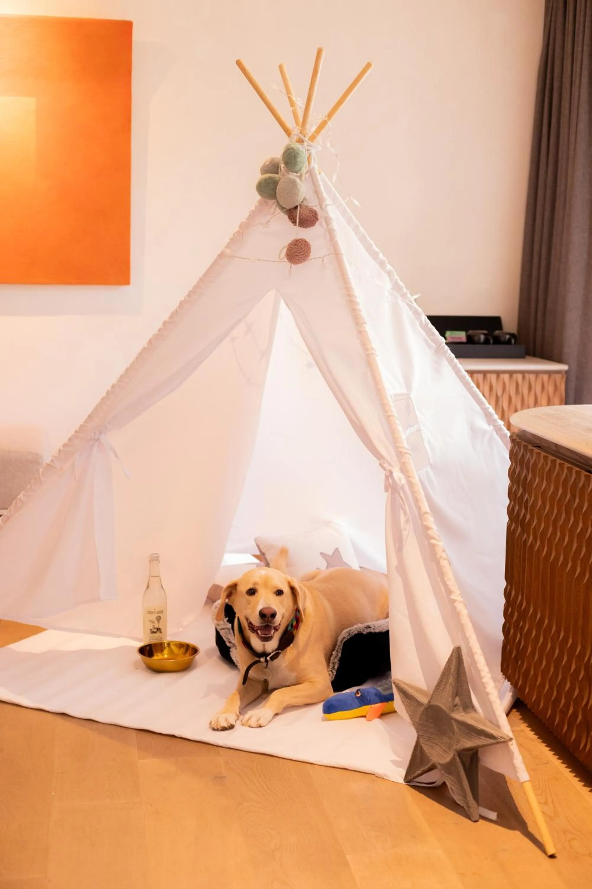 Pets in NUMU Boutique Hotel, The Unbound Collection by Hyatt