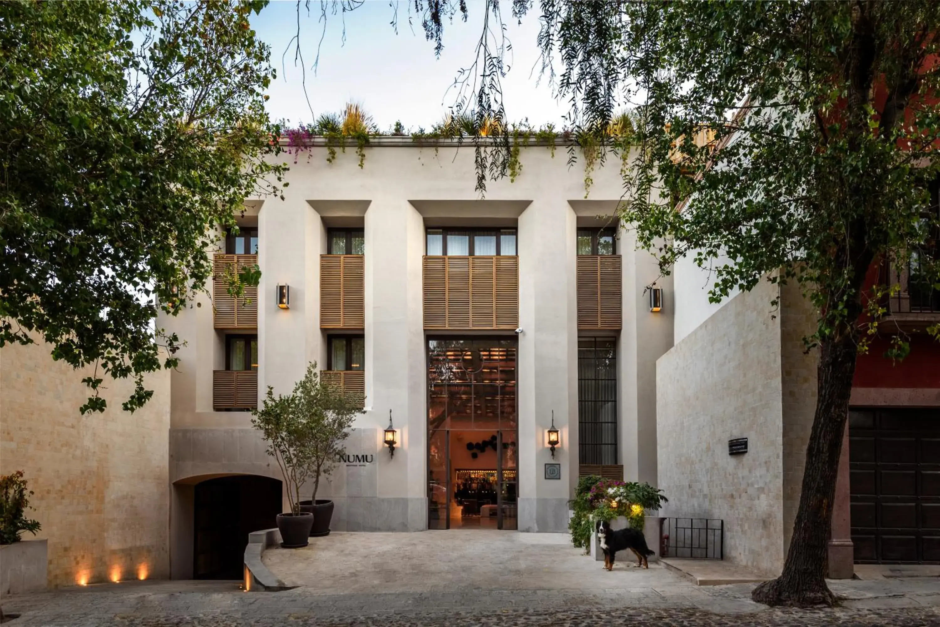 NUMU Boutique Hotel, The Unbound Collection by Hyatt NUMU Boutique Hotel, The Unbound Collection by Hyatt