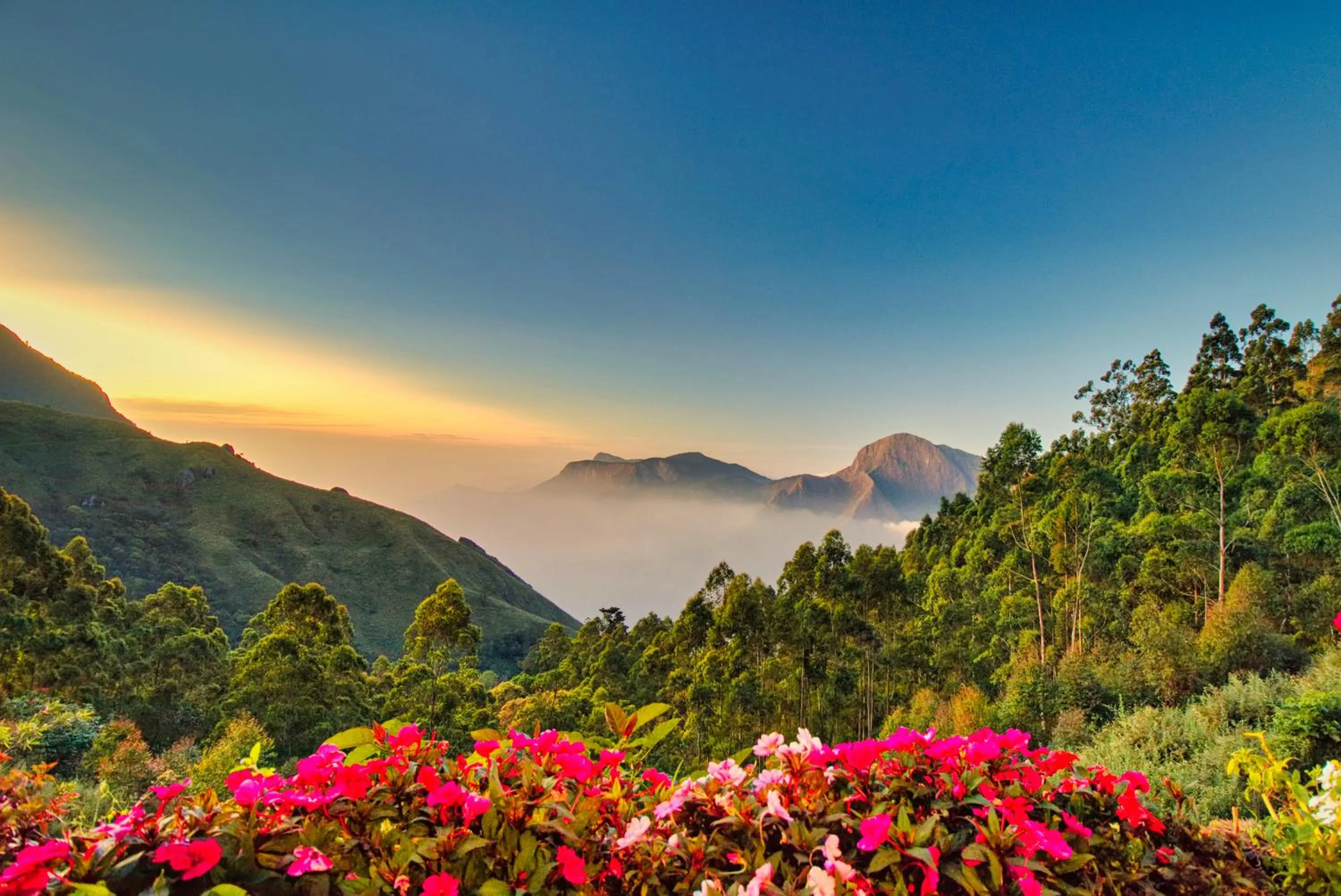 Day in Chandys Drizzle Drops - Munnar Top Station