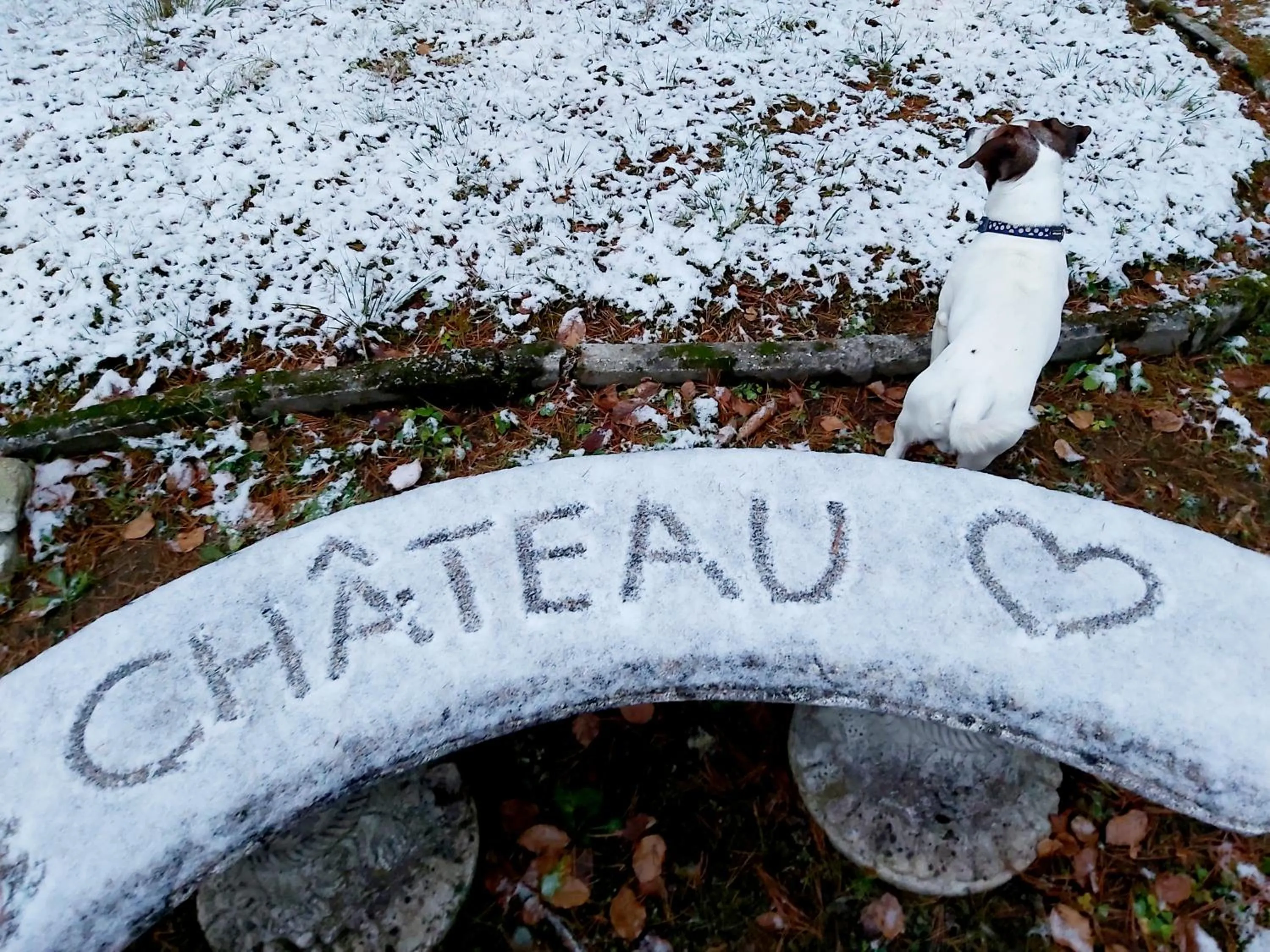 Natural landscape in Hotel Château Cihelny