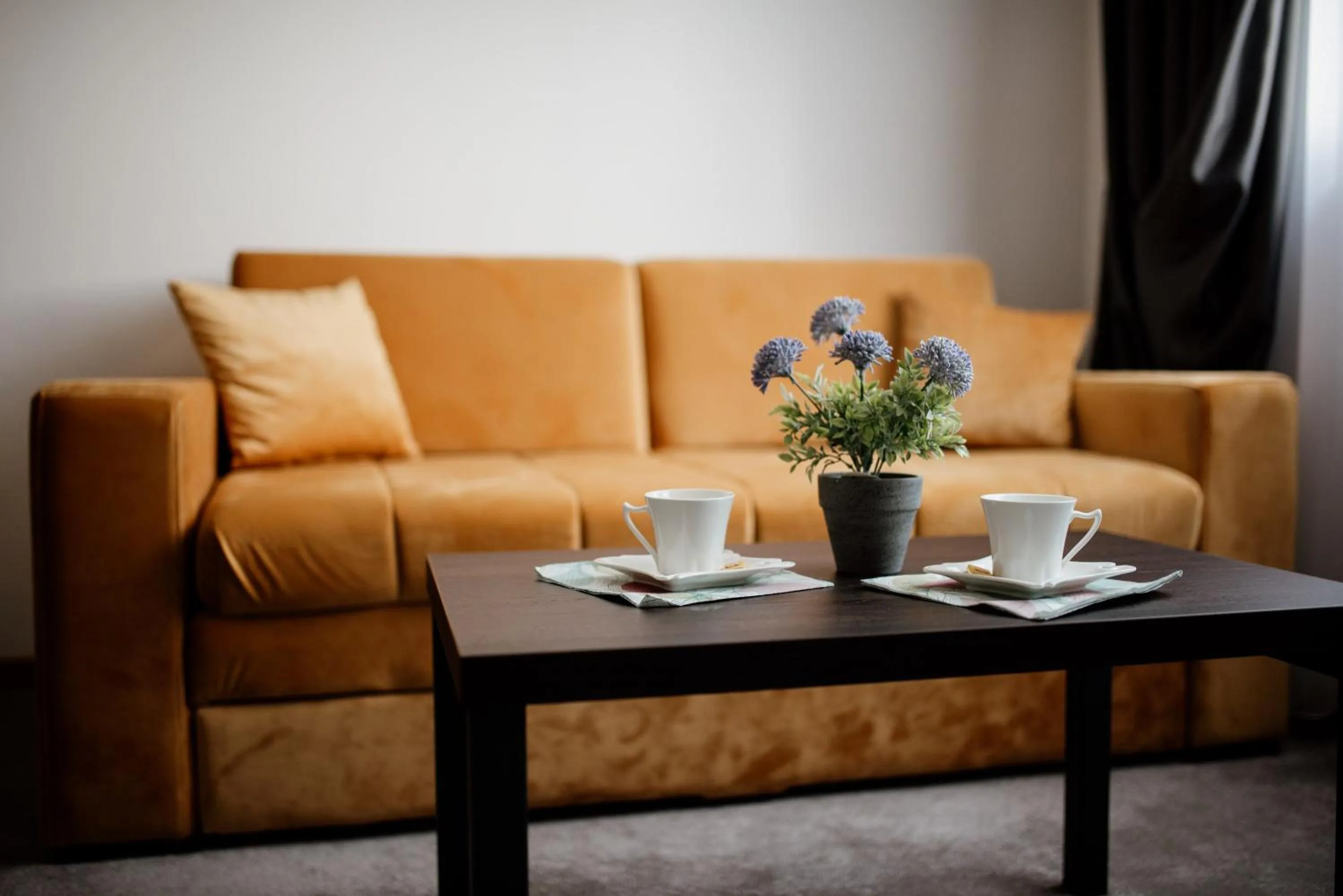 Living room in Hotel Djina - Kopaonik