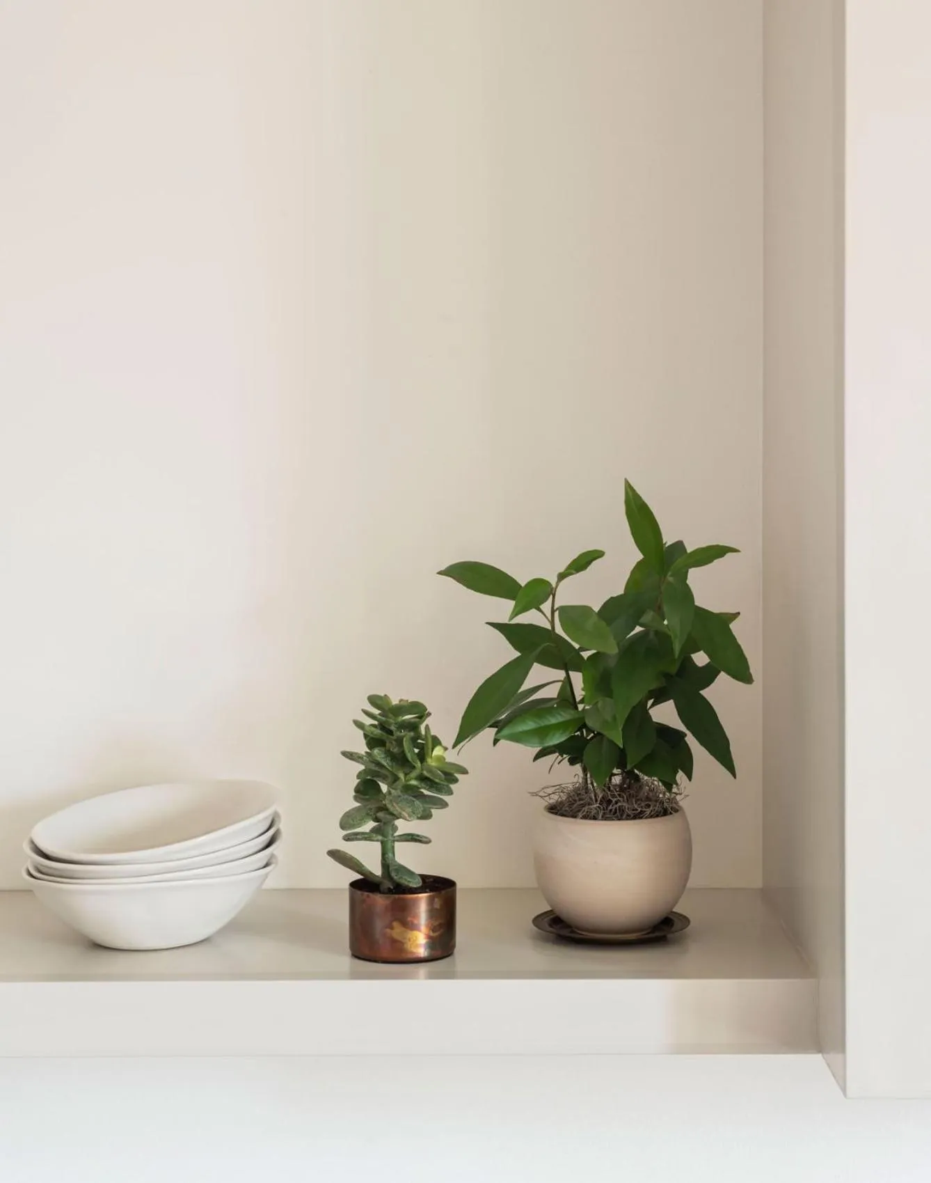 Decorative detail in The Pinch Charleston