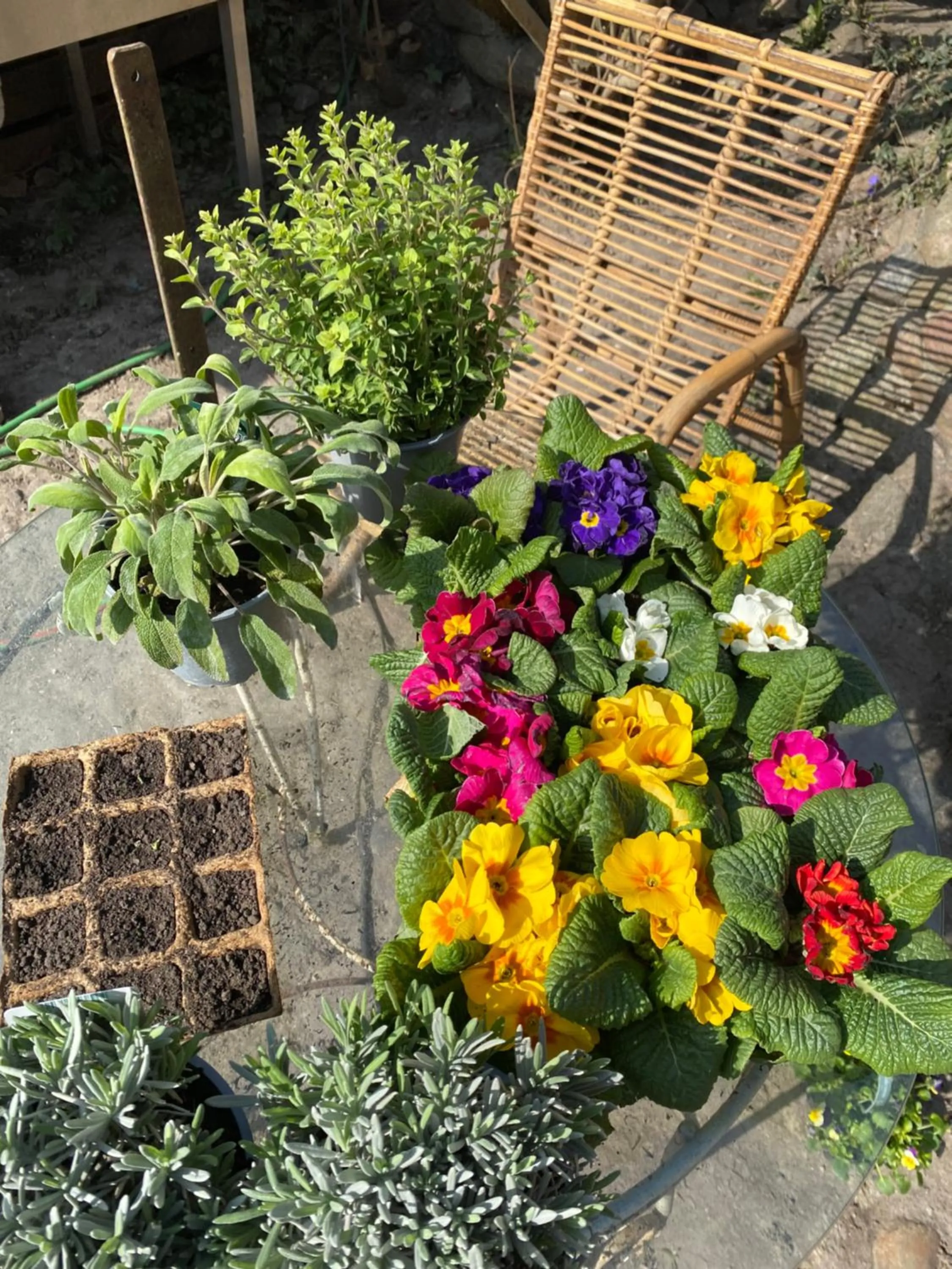 Patio in norddeutscher Hof - Kutscherstation