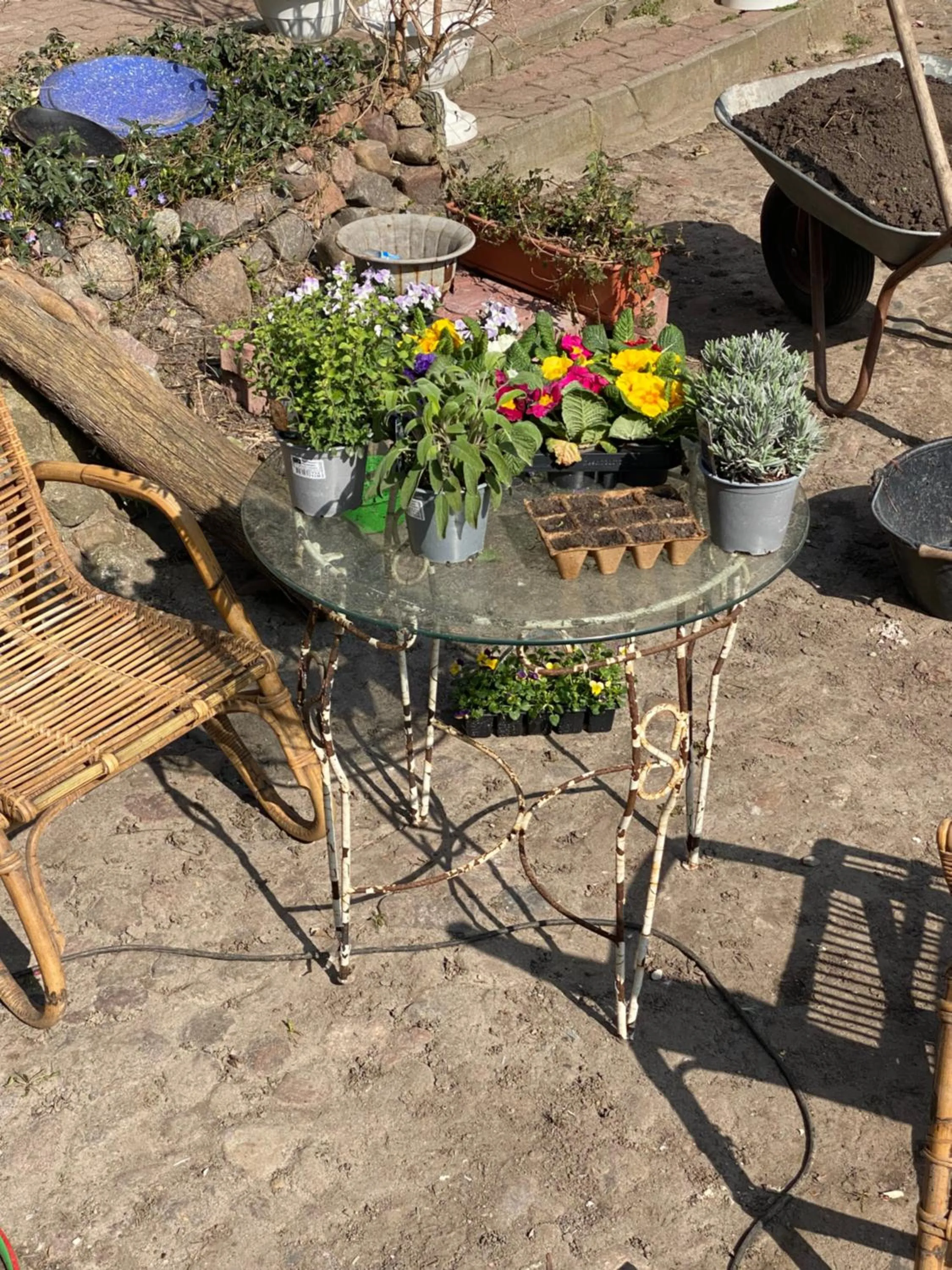 Patio in norddeutscher Hof - Kutscherstation