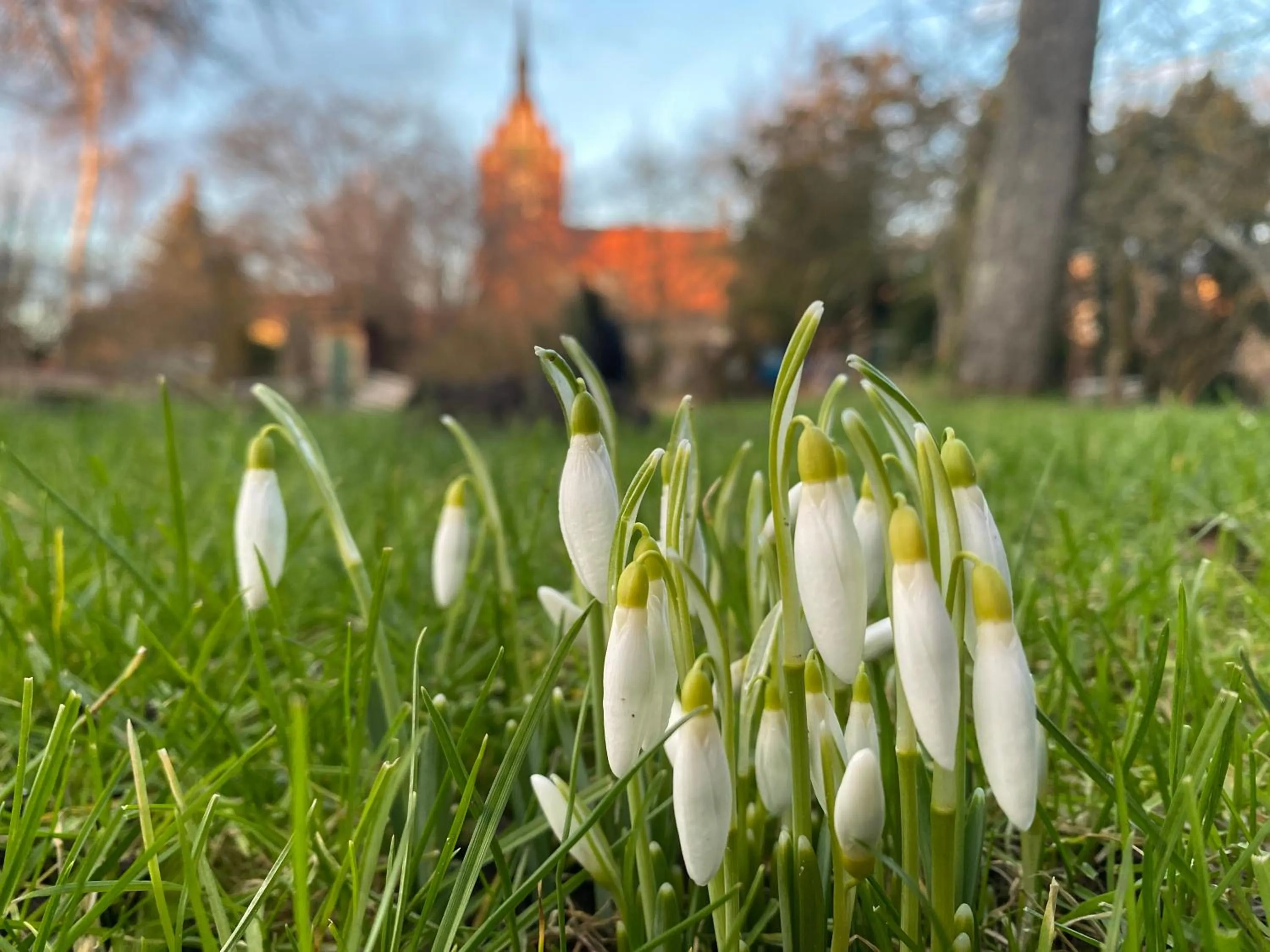 Garden in norddeutscher Hof - Kutscherstation