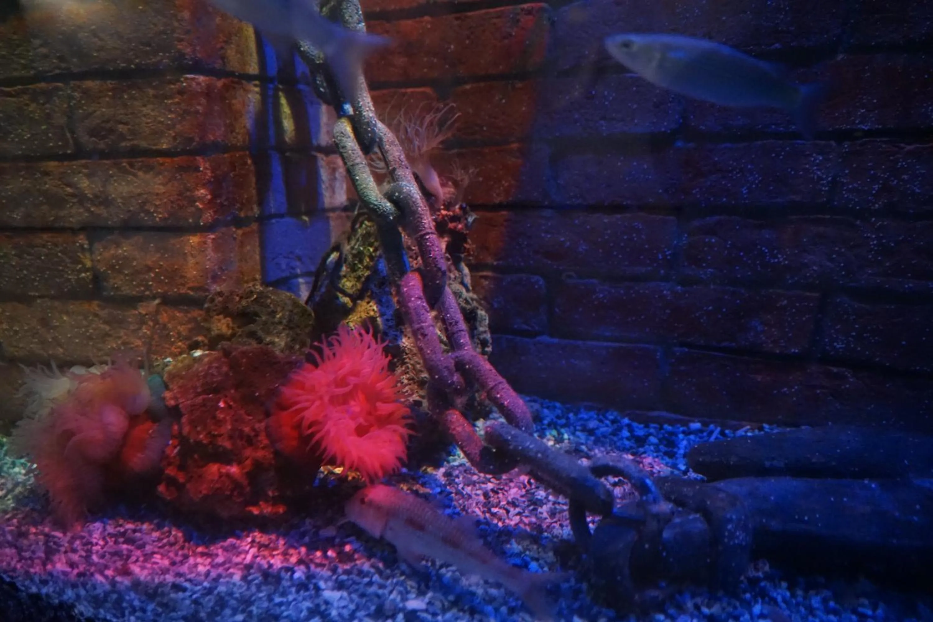 Aqua park in Hotel Citta'