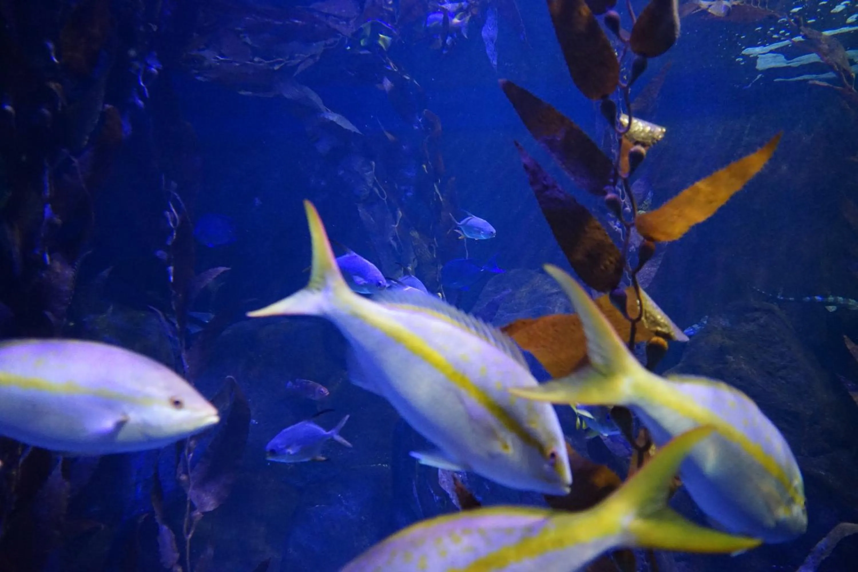 Aqua park in Hotel Citta'