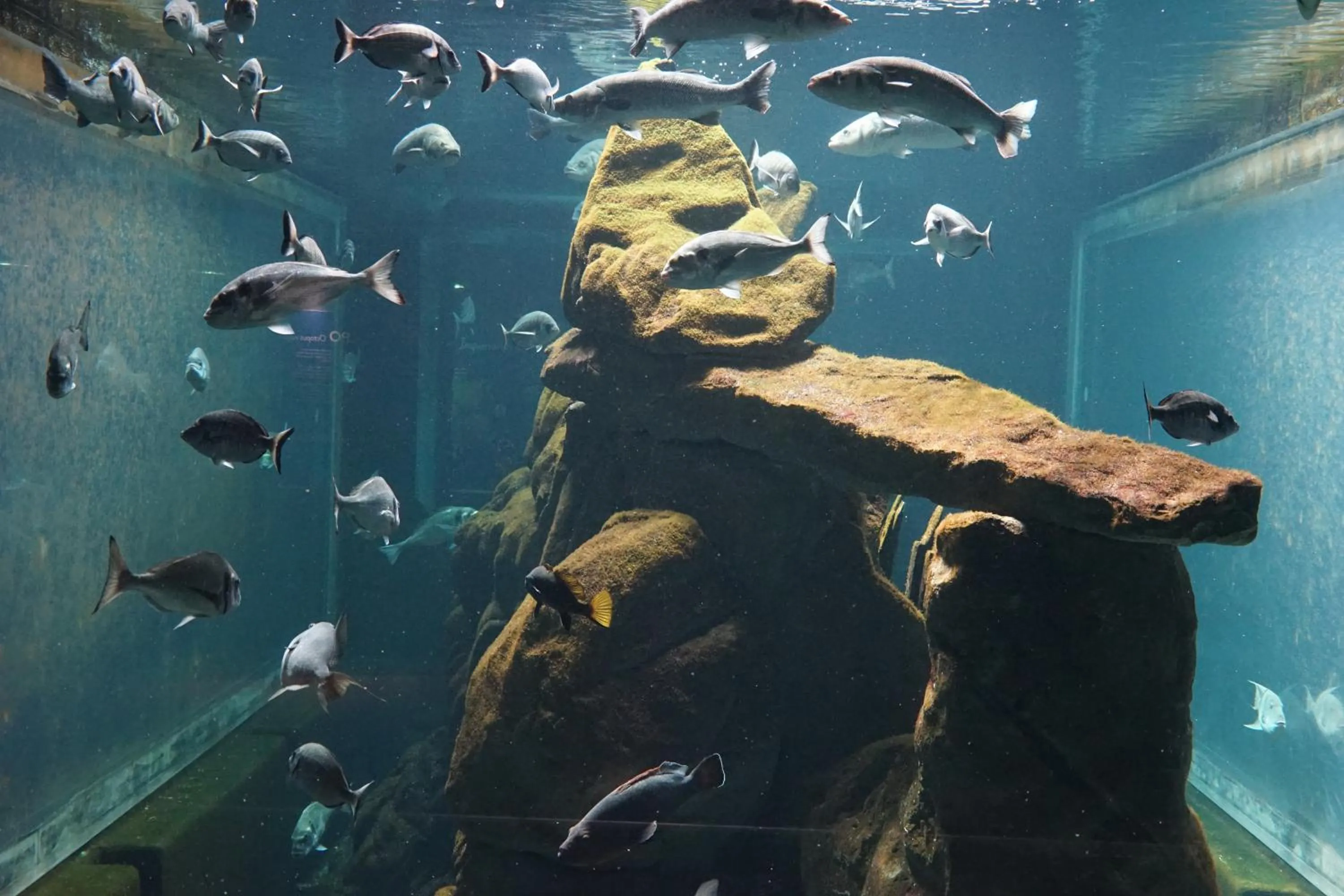 Aqua park in Hotel Citta'