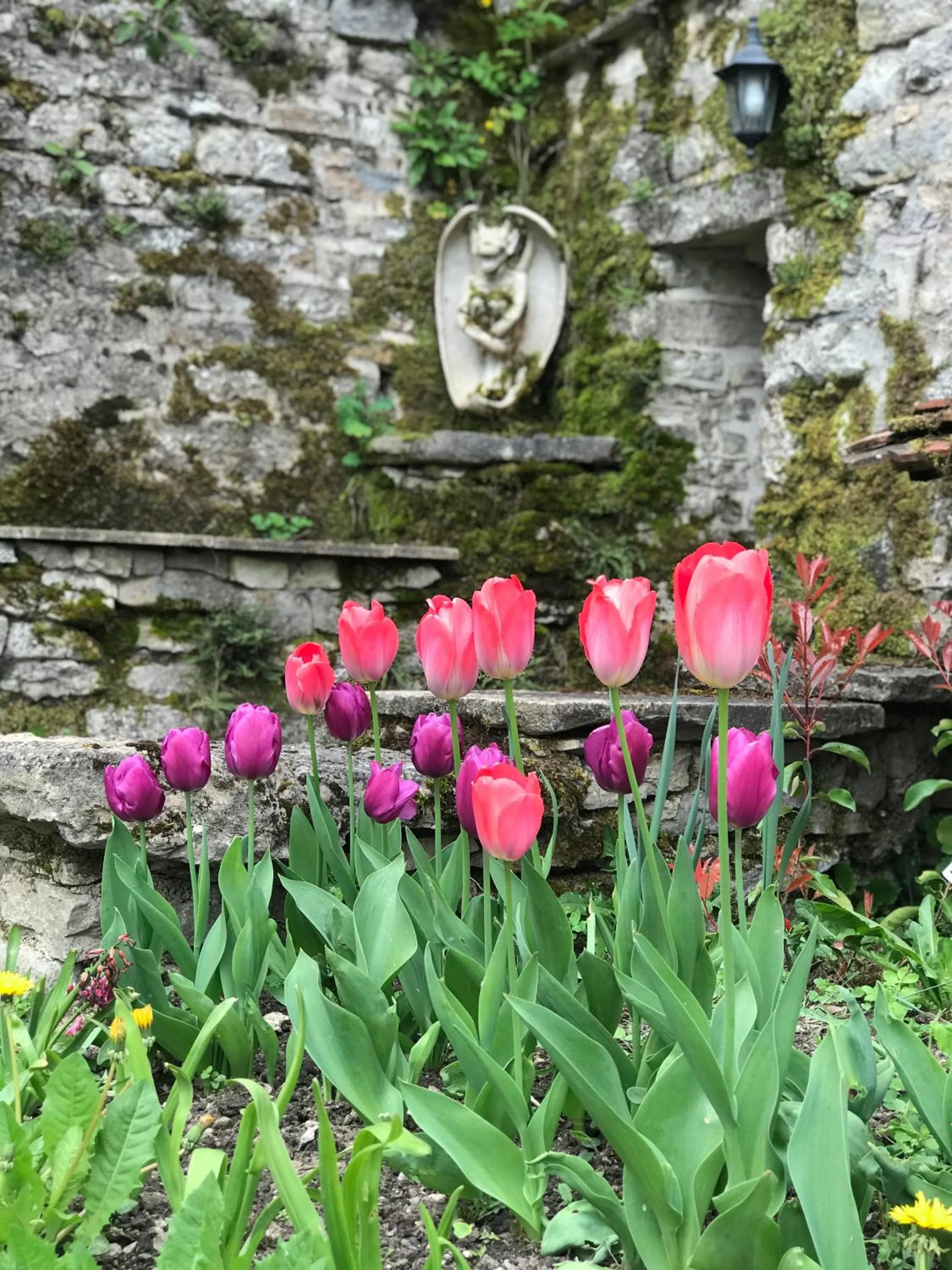 Garden in Manoir Saint-Pierre