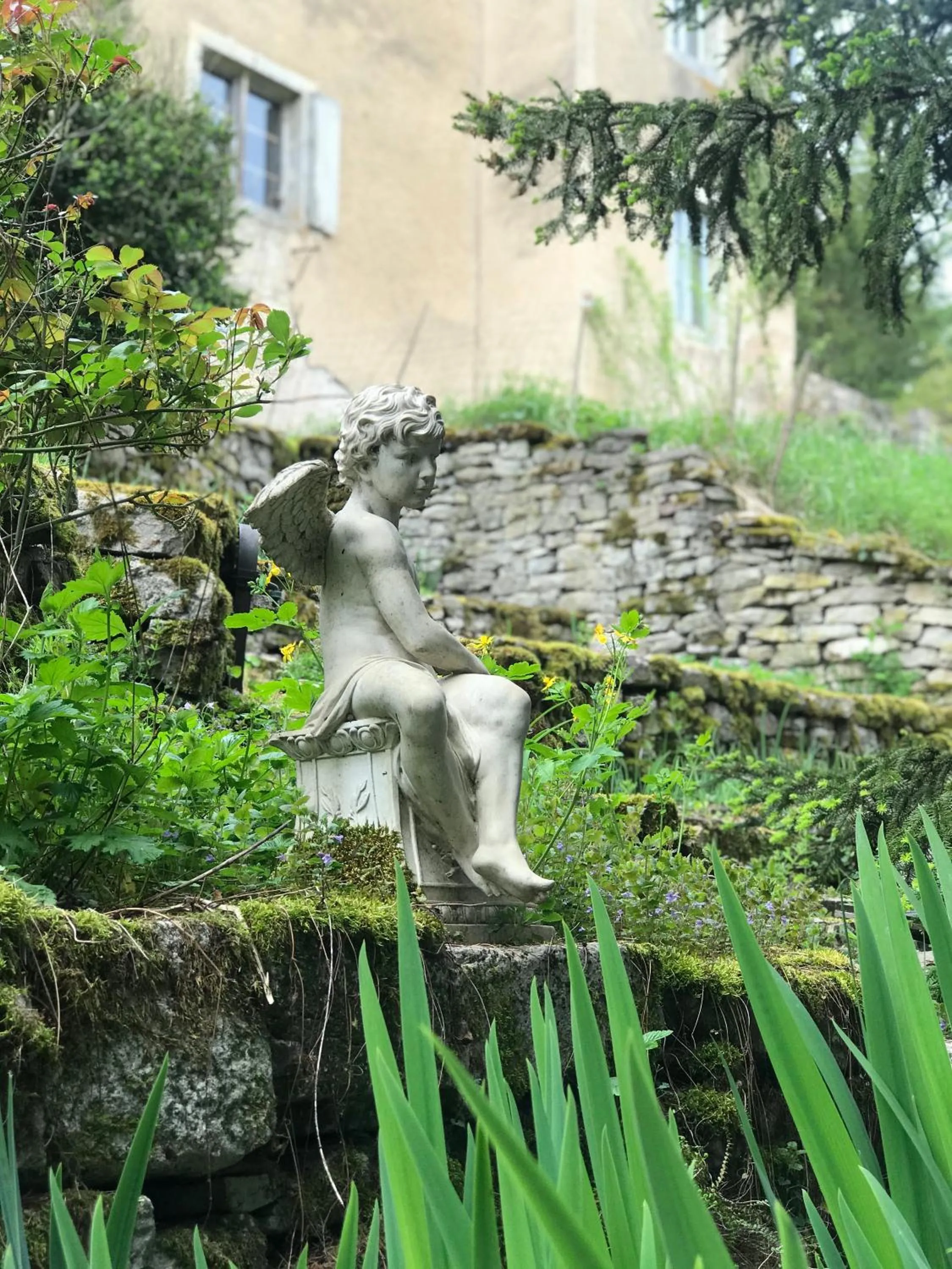 Garden in Manoir Saint-Pierre