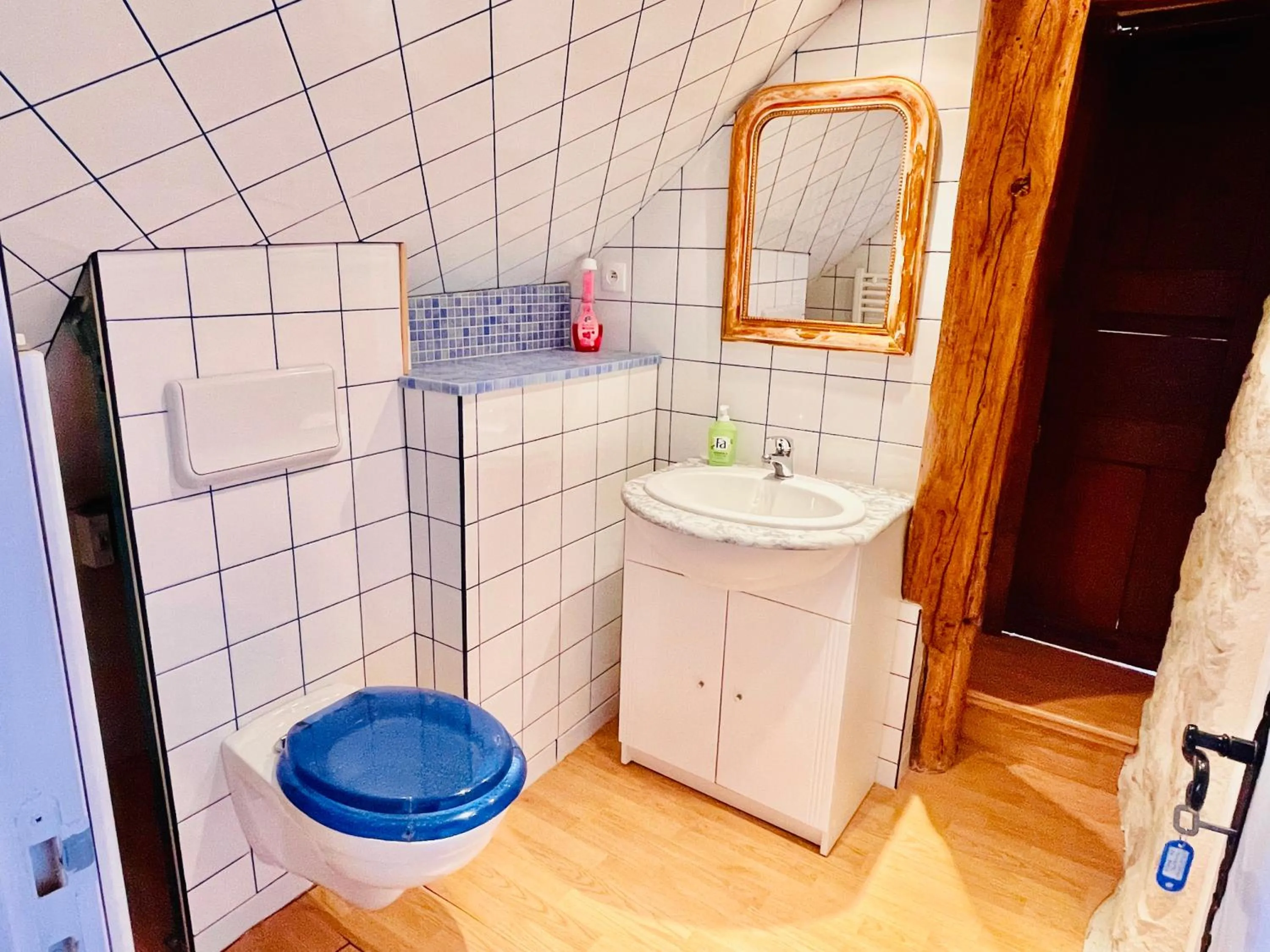 Toilet in Manoir Saint-Pierre