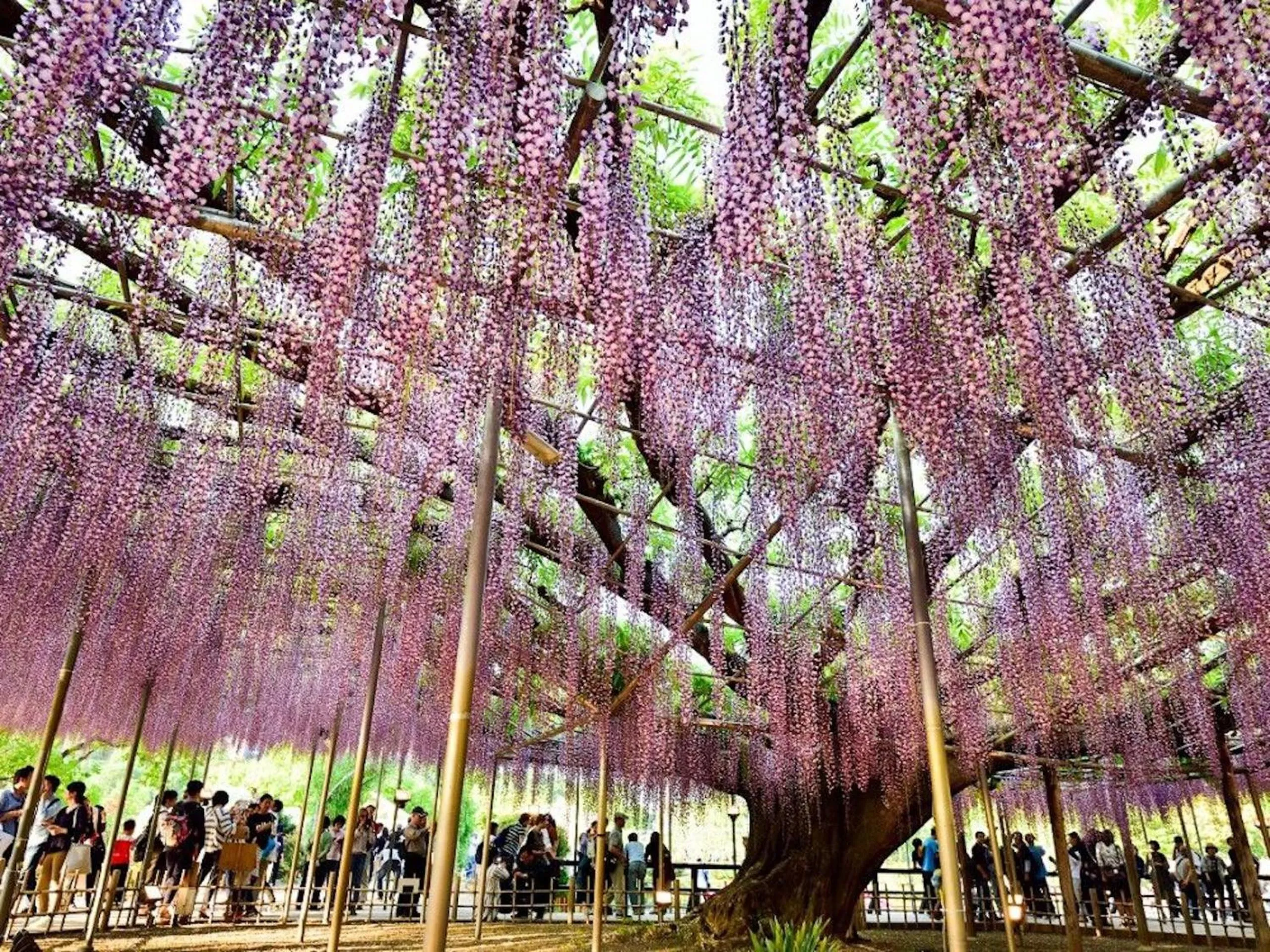 Nearby landmark in Nasushiobara Ichimantei