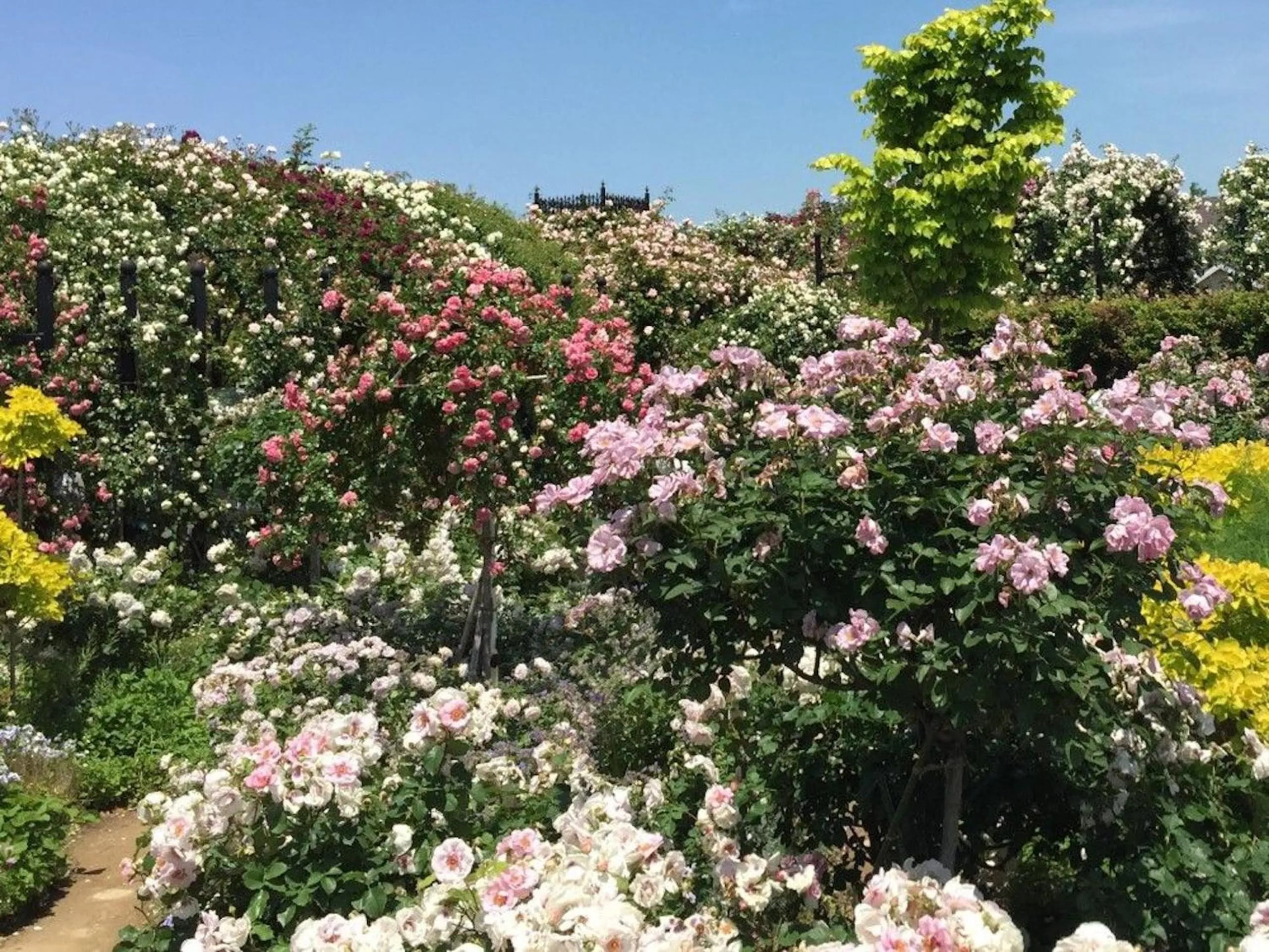 Nearby landmark in Nasushiobara Ichimantei