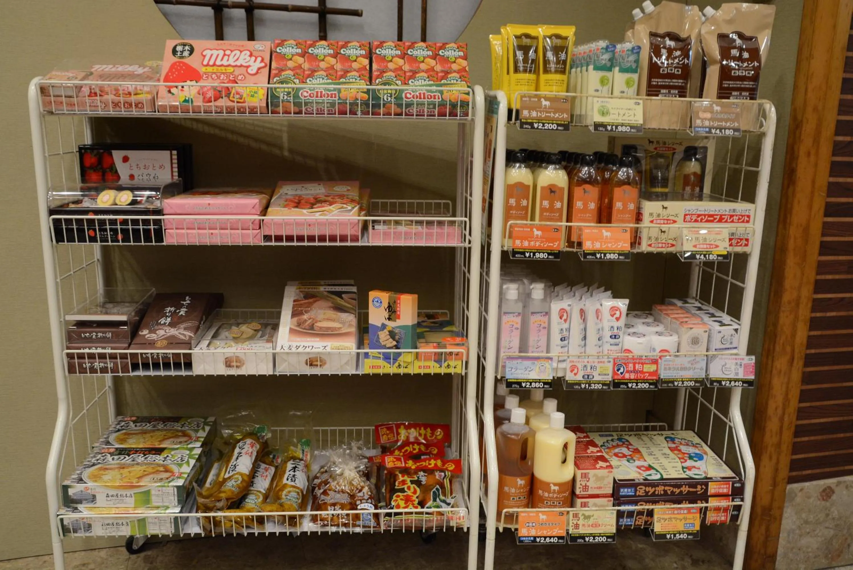 Shopping Area in Nasushiobara Ichimantei