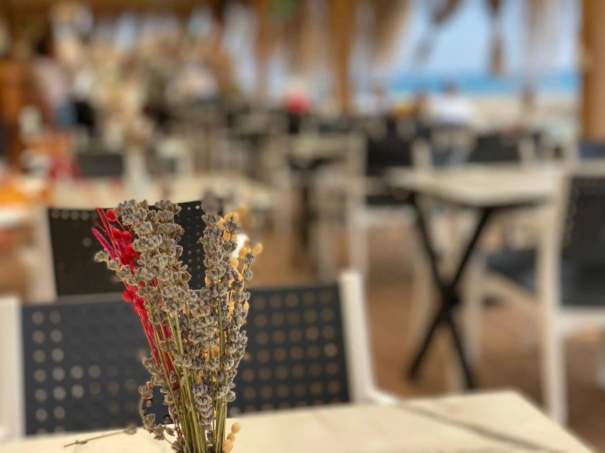 Banquet/Function facilities in Castle Boutique Hotel Alanya