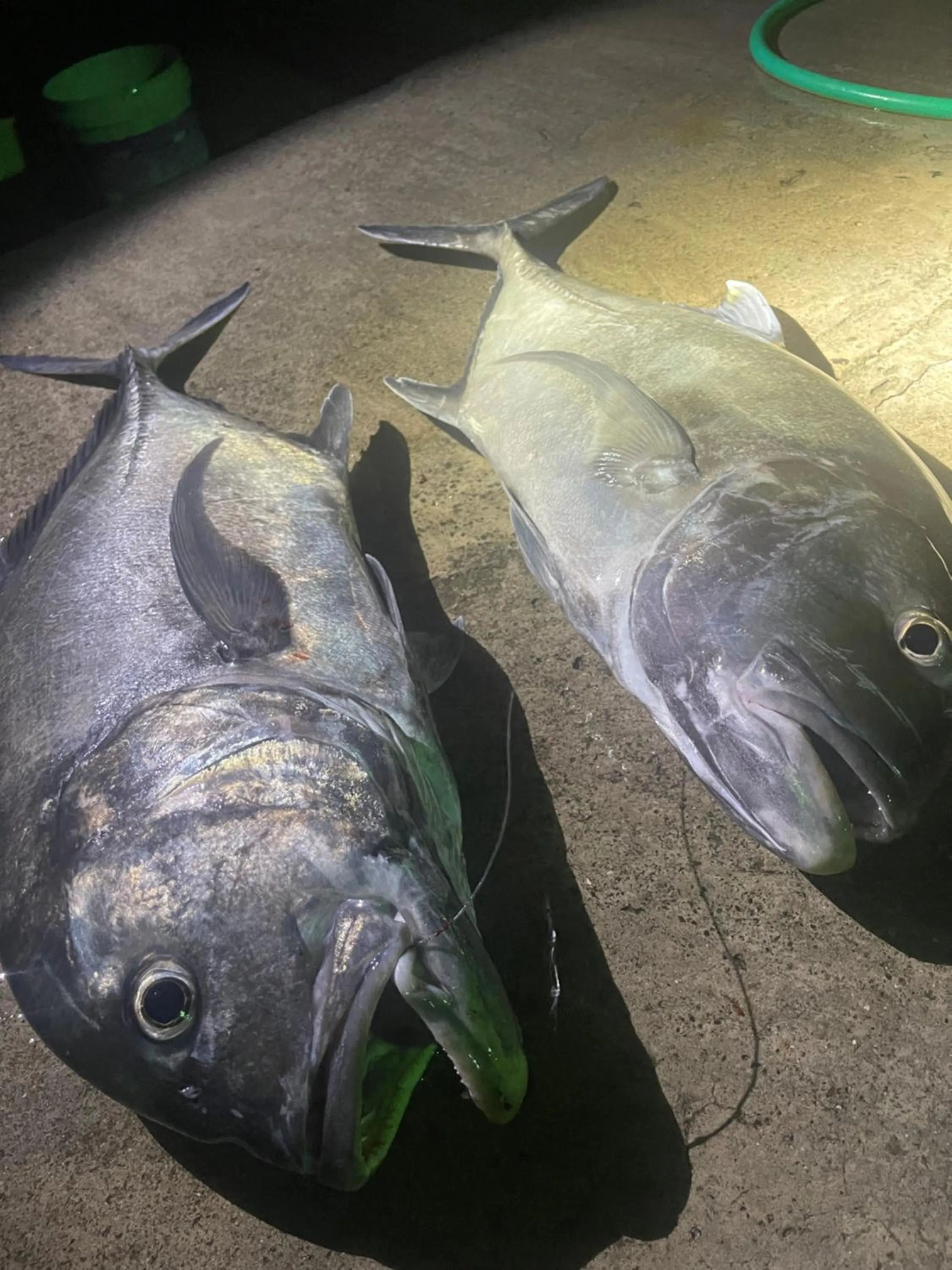 BBQ facilities in Atholhu Residence