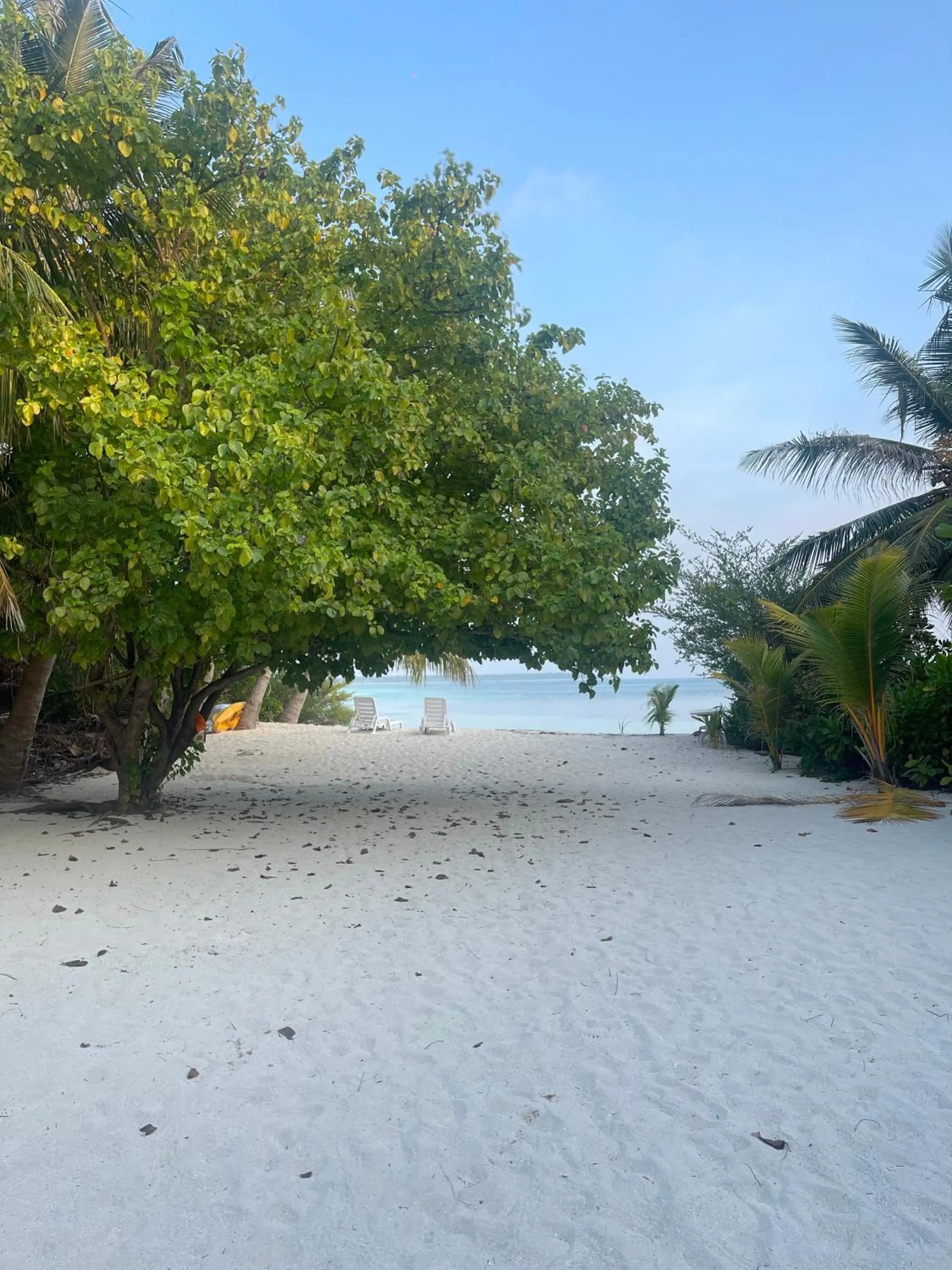 Beach in Atholhu Residence