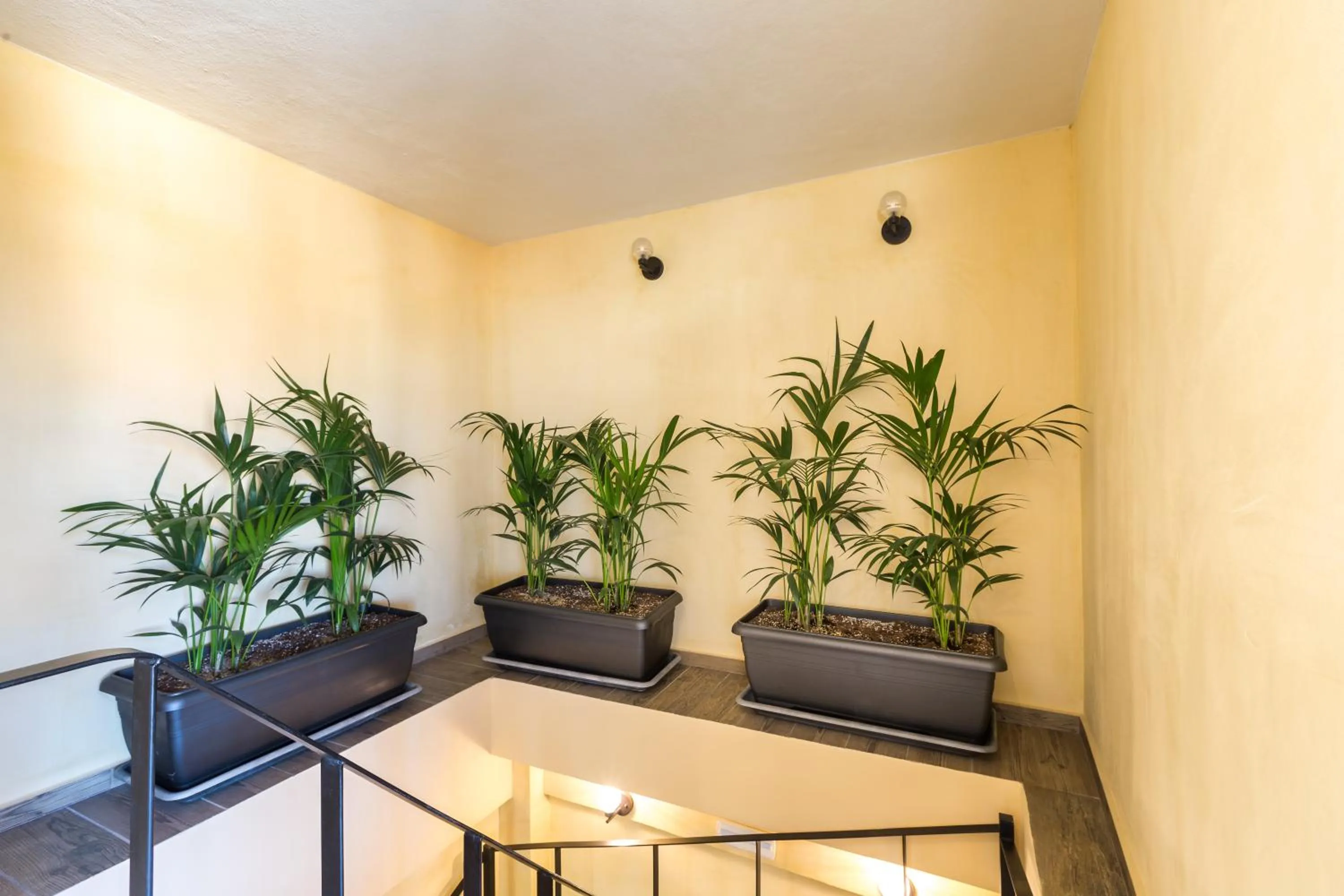 Lobby or reception in C Suites