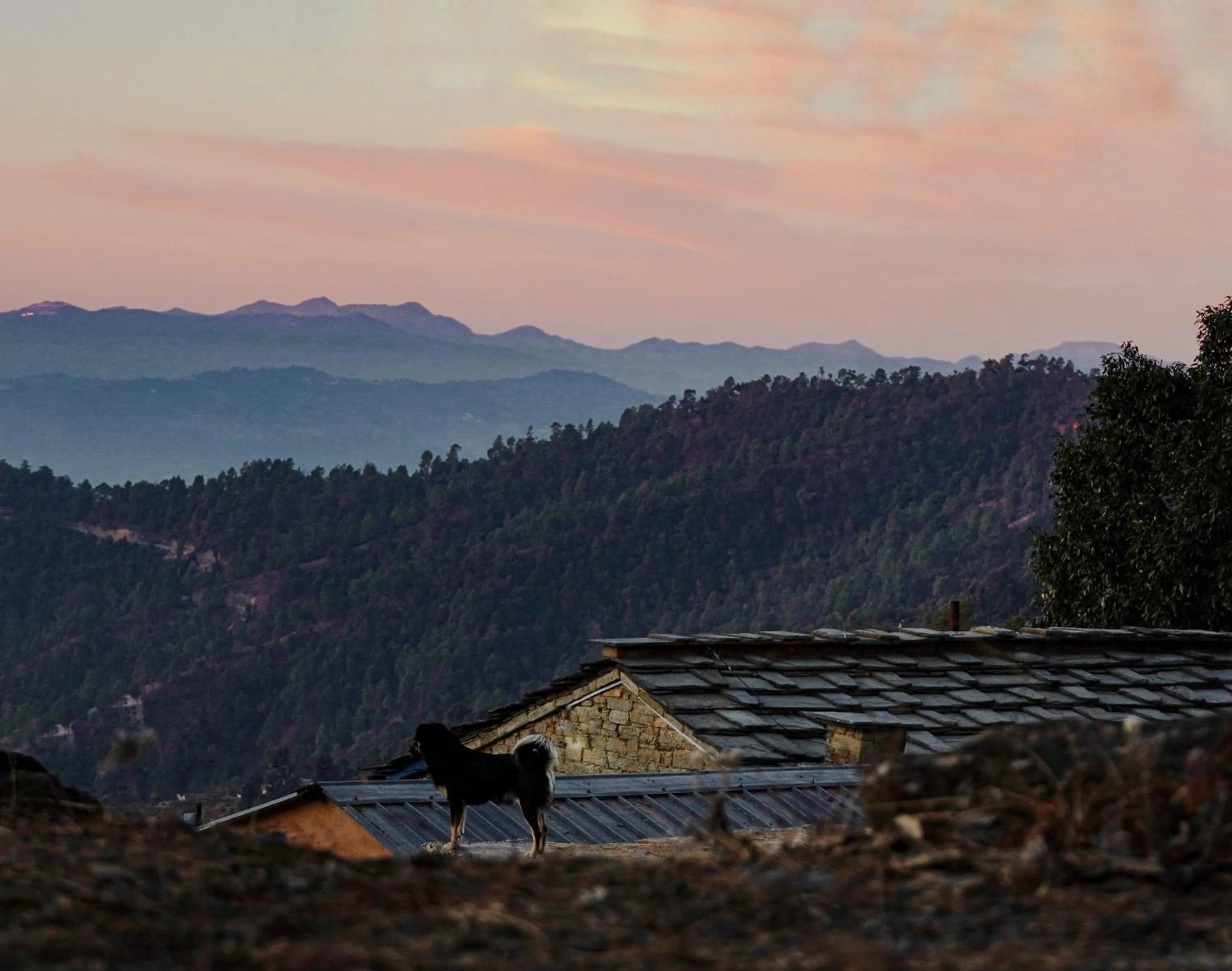 Natural landscape in Kot Kailash Kumaon