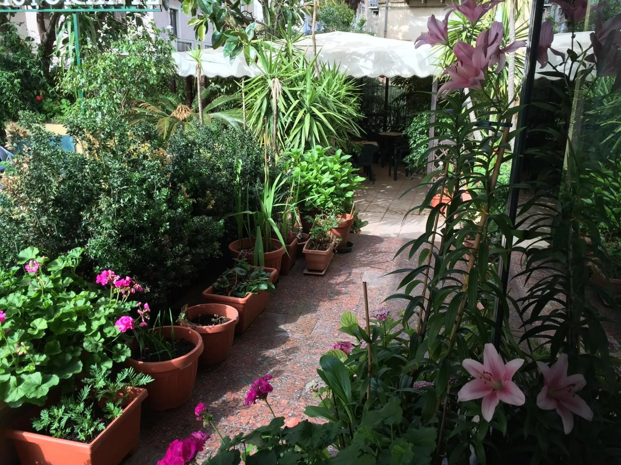 Garden in Savant Hotel